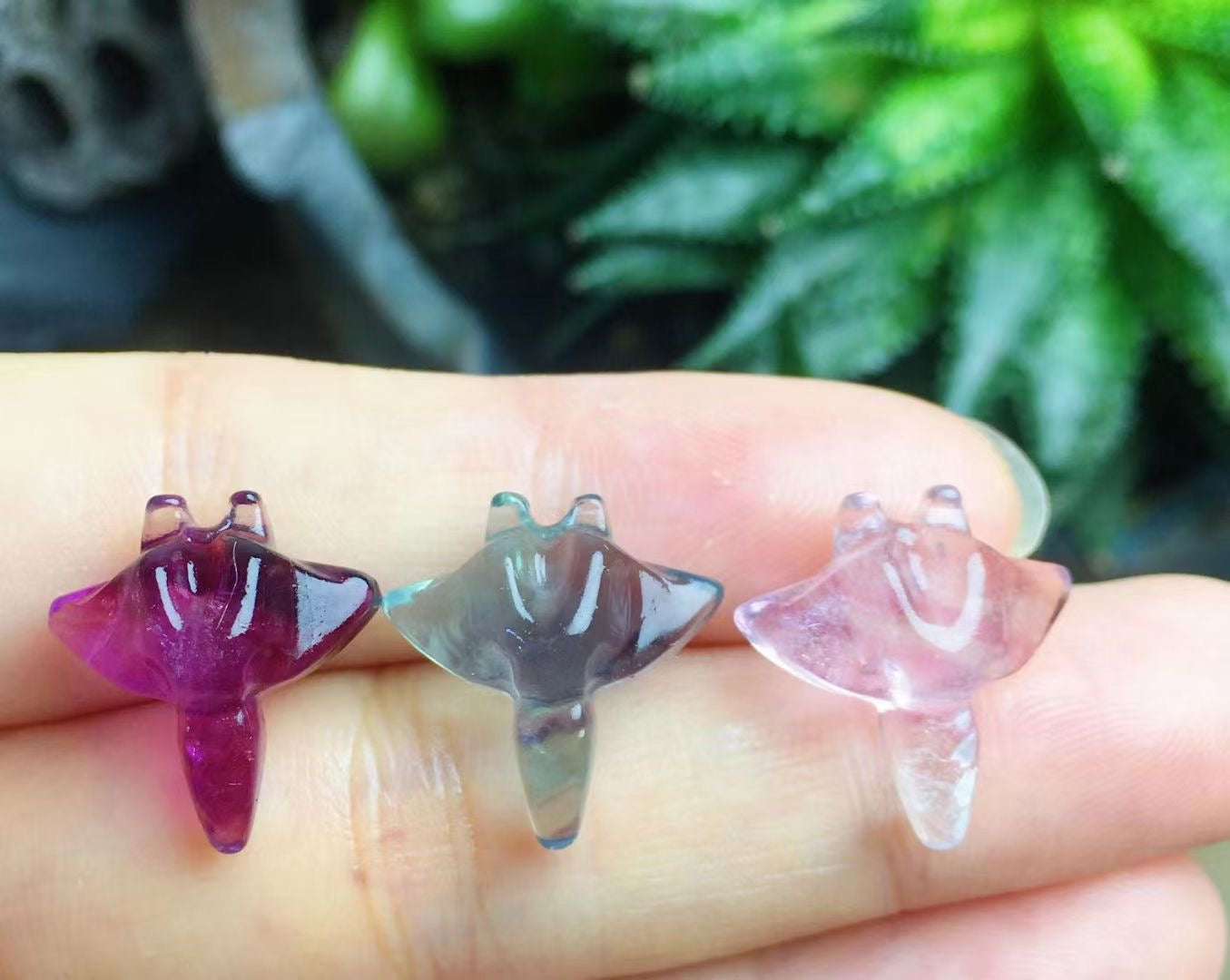 Mini Fluorite Manta Ray Natural Crystal Carvings