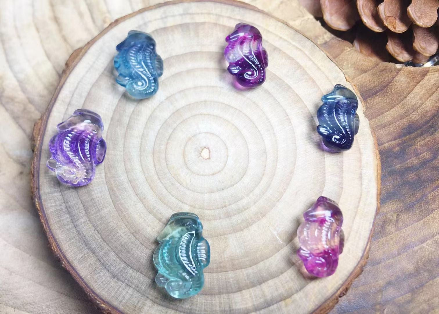 Mini Fluorite Sea Horse Natural Crystal Carvings