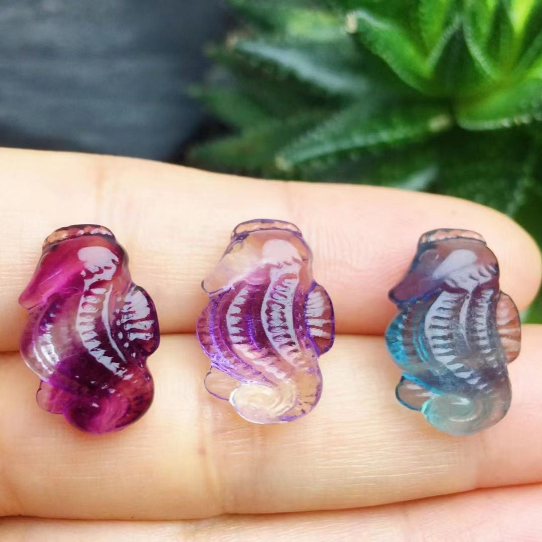 Mini Fluorite Sea Horse Natural Crystal Carvings