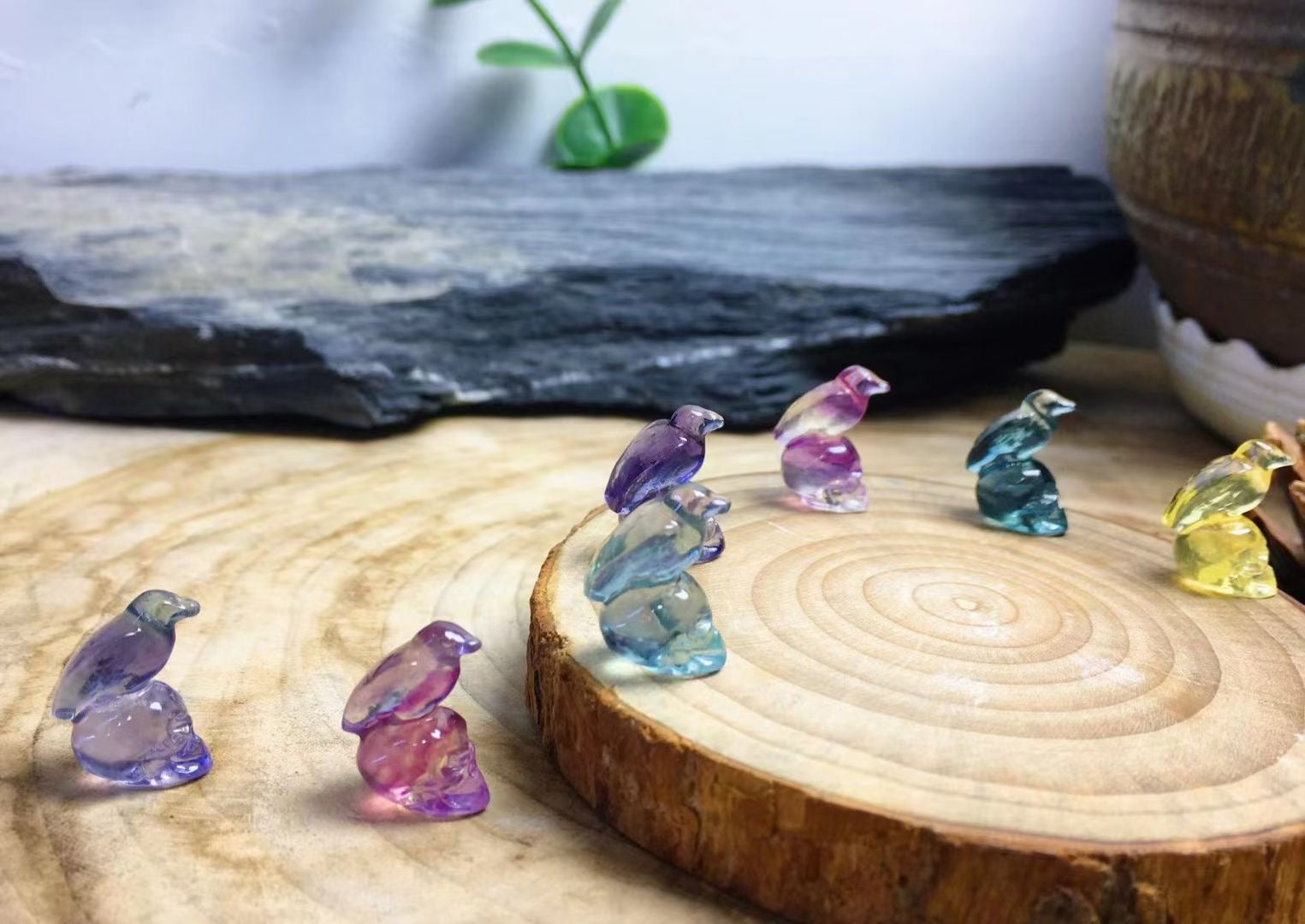 Mini Fluorite Raven on Skull Natural Crystal Carvings