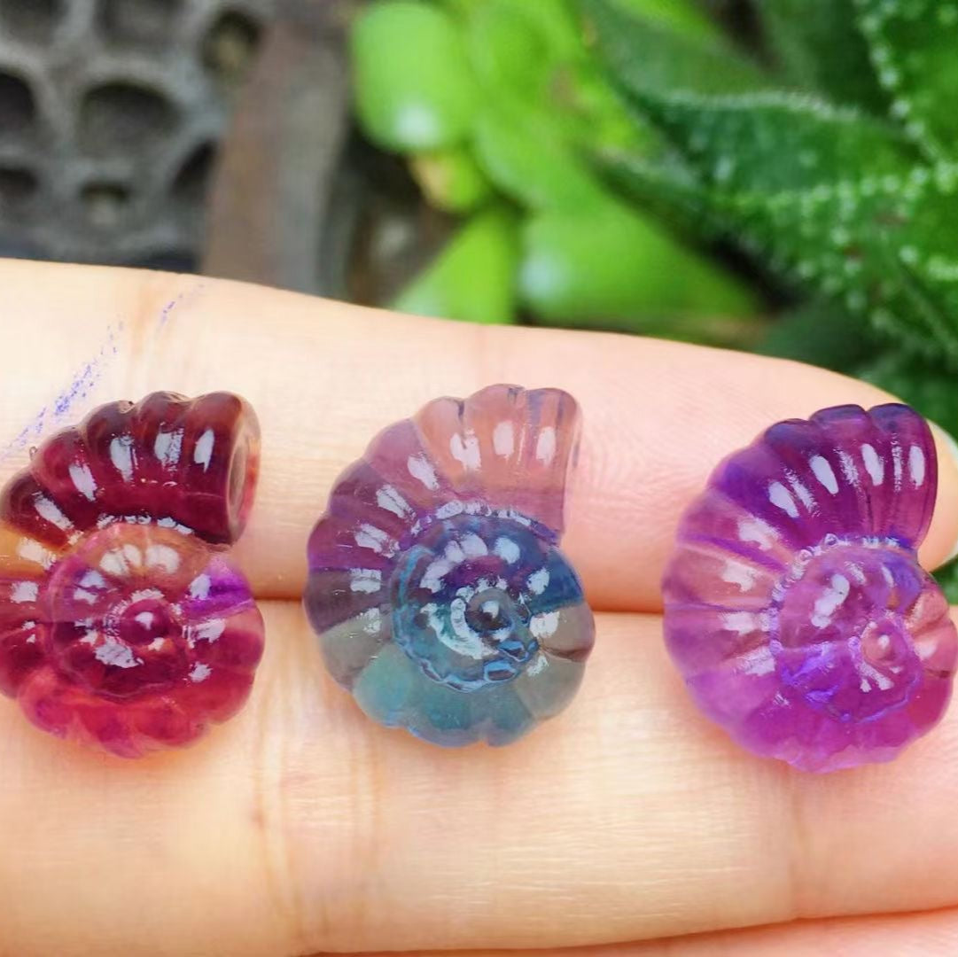 Mini Fluorite Ammonite Natural Crystal Carvings