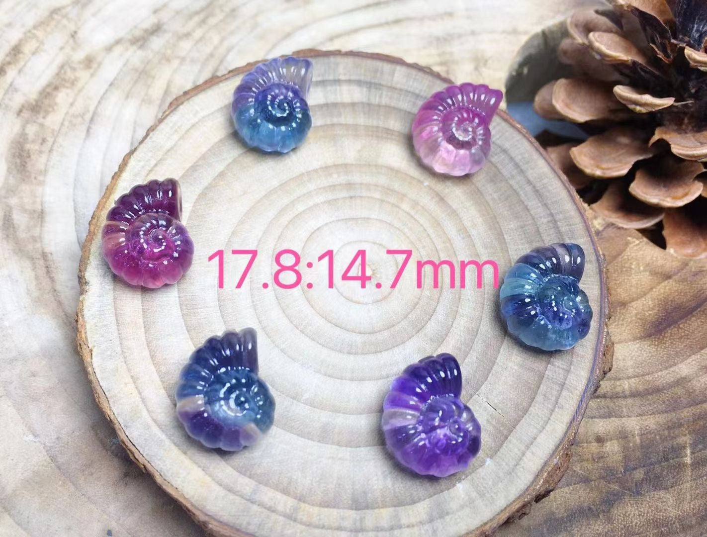 Mini Fluorite Ammonite Natural Crystal Carvings