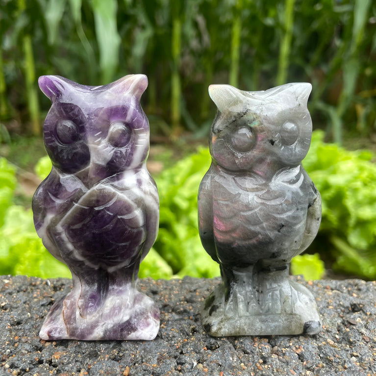 10CM Chevron Amethyst Labradorite Owl Carvings