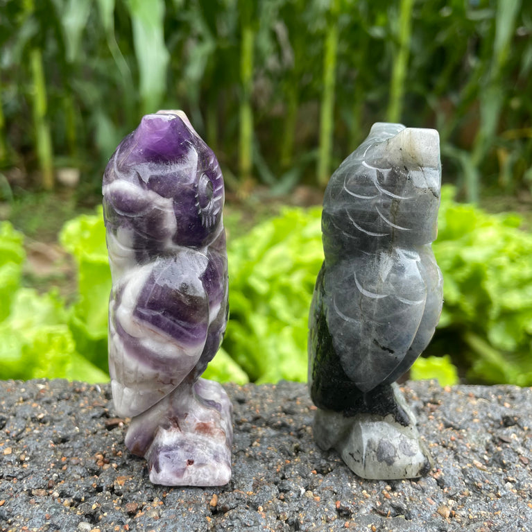 10CM Chevron Amethyst Labradorite Owl Carvings