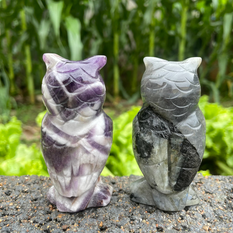 10CM Chevron Amethyst Labradorite Owl Carvings