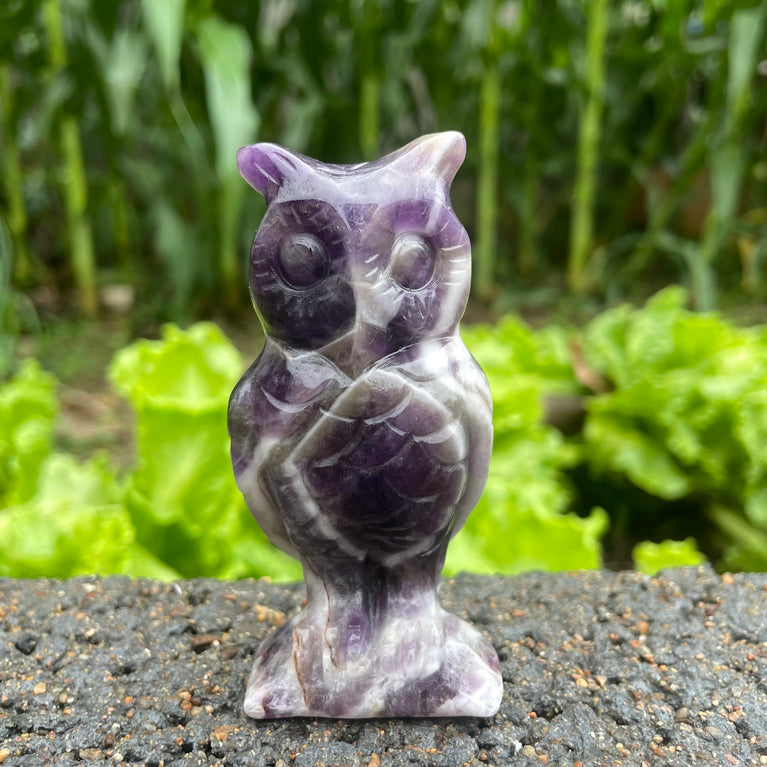 10CM Chevron Amethyst Labradorite Owl Carvings