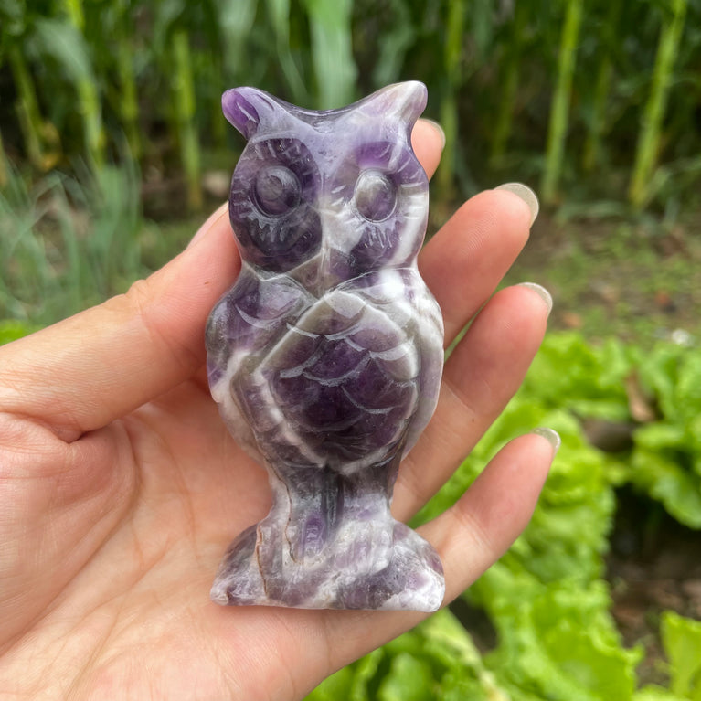 10CM Chevron Amethyst Labradorite Owl Carvings