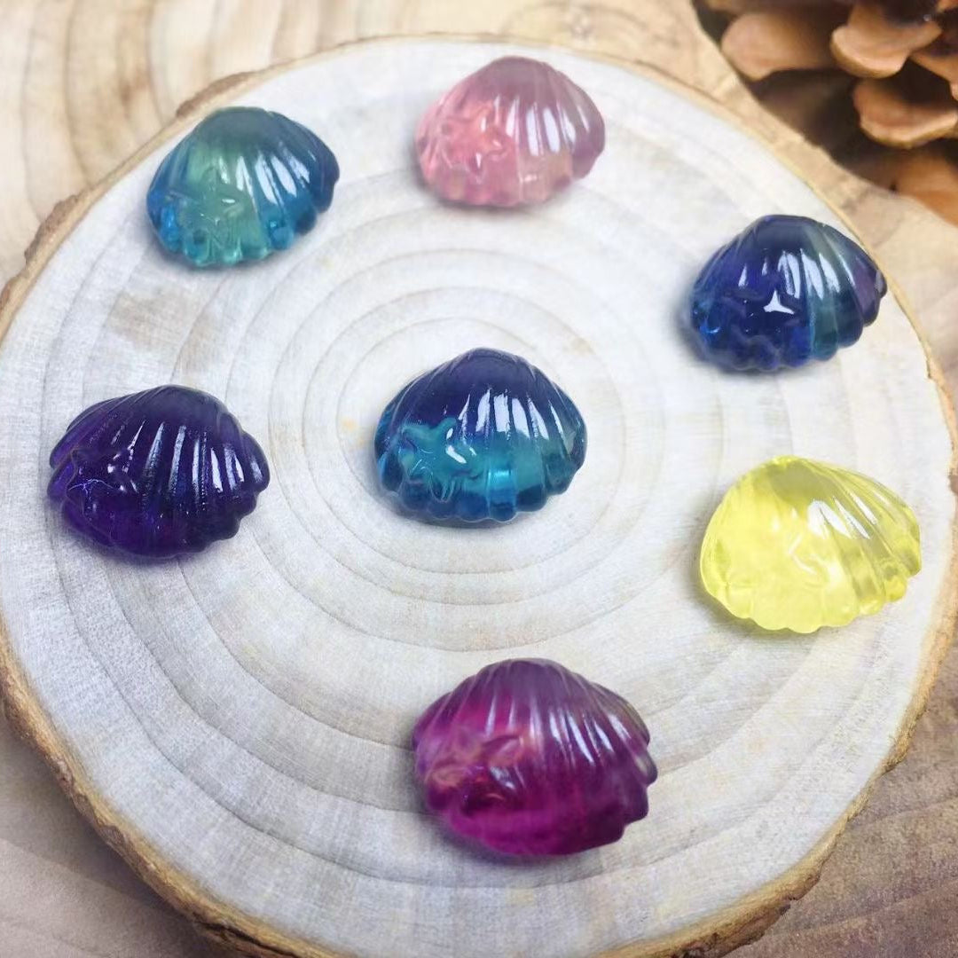 Mini Fluorite Clam Shell Natural Crystal Carvings