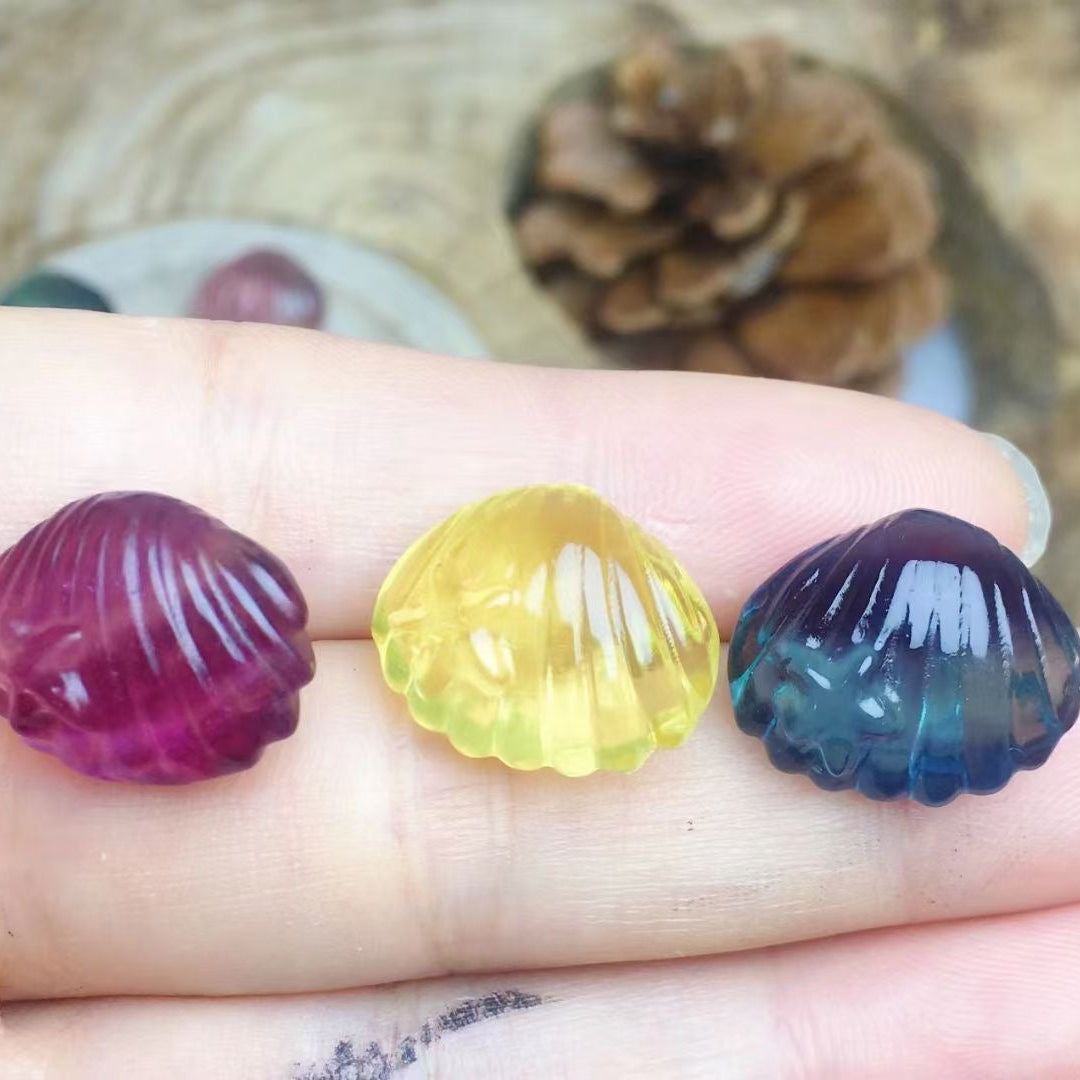 Mini Fluorite Clam Shell Natural Crystal Carvings