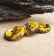 Natural Yellow Tiger Eye Button in Abundant Supply