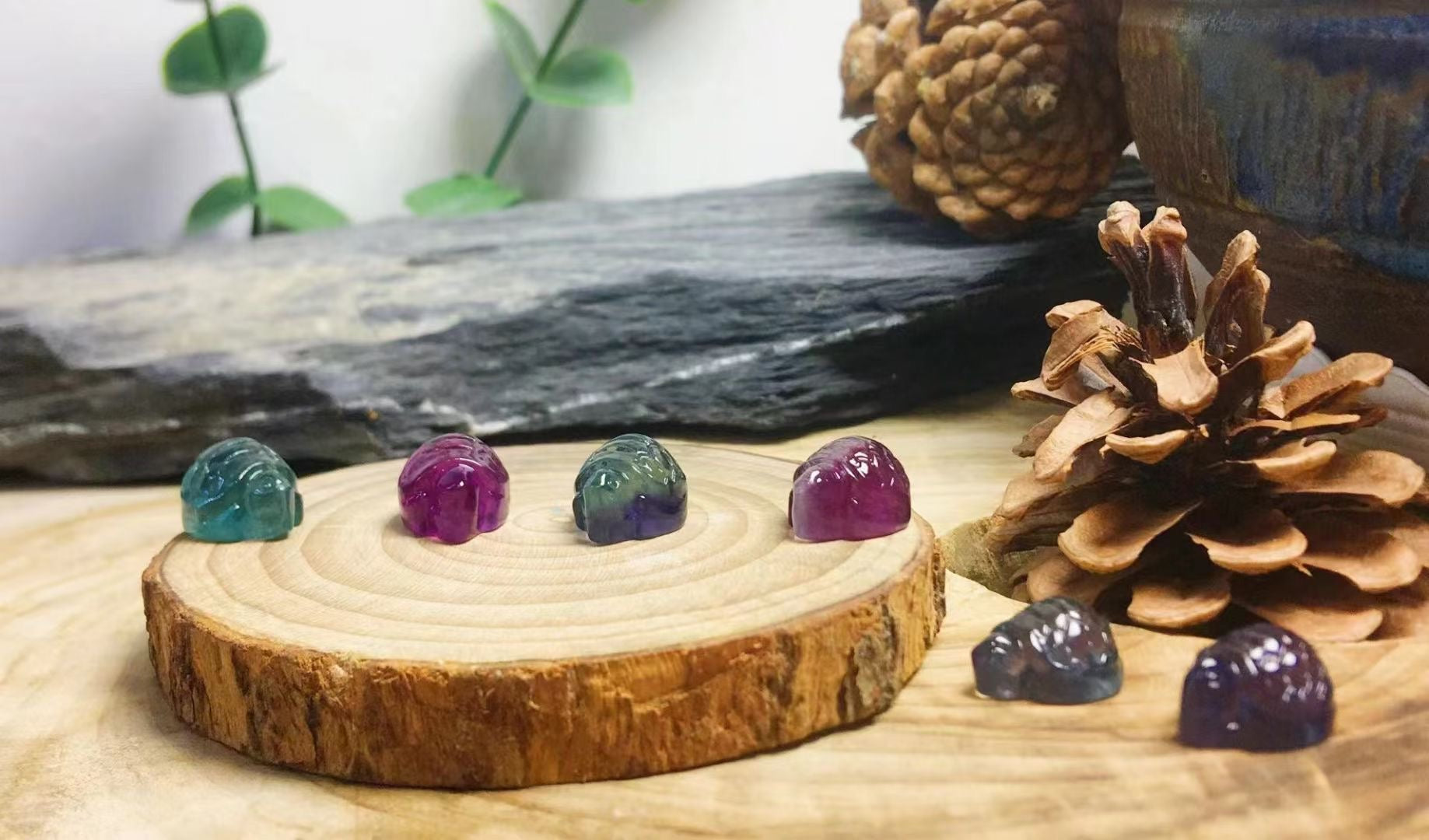 Mini Fluorite Turtle Natural Crystal Carvings Wholesale