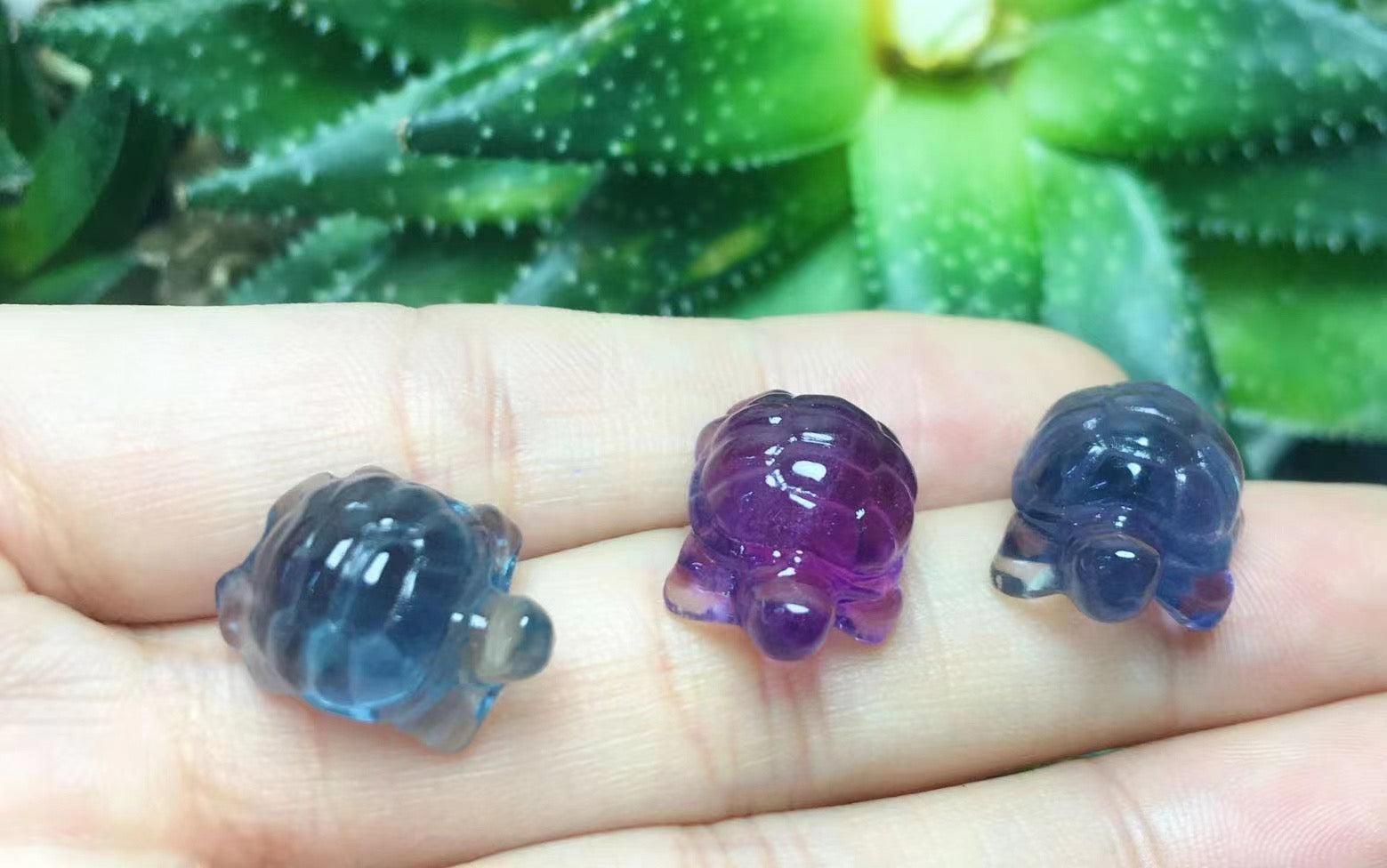 Mini Fluorite Turtle Natural Crystal Carvings Wholesale