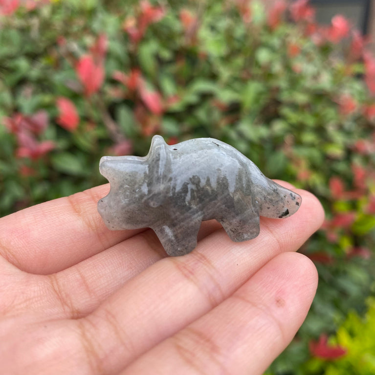 4CM Mini Triceratops Natural Crystal Carving