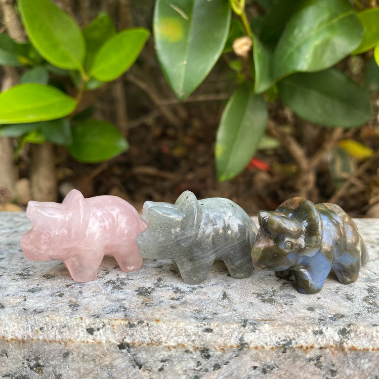 4CM Mini Triceratops Natural Crystal Carving