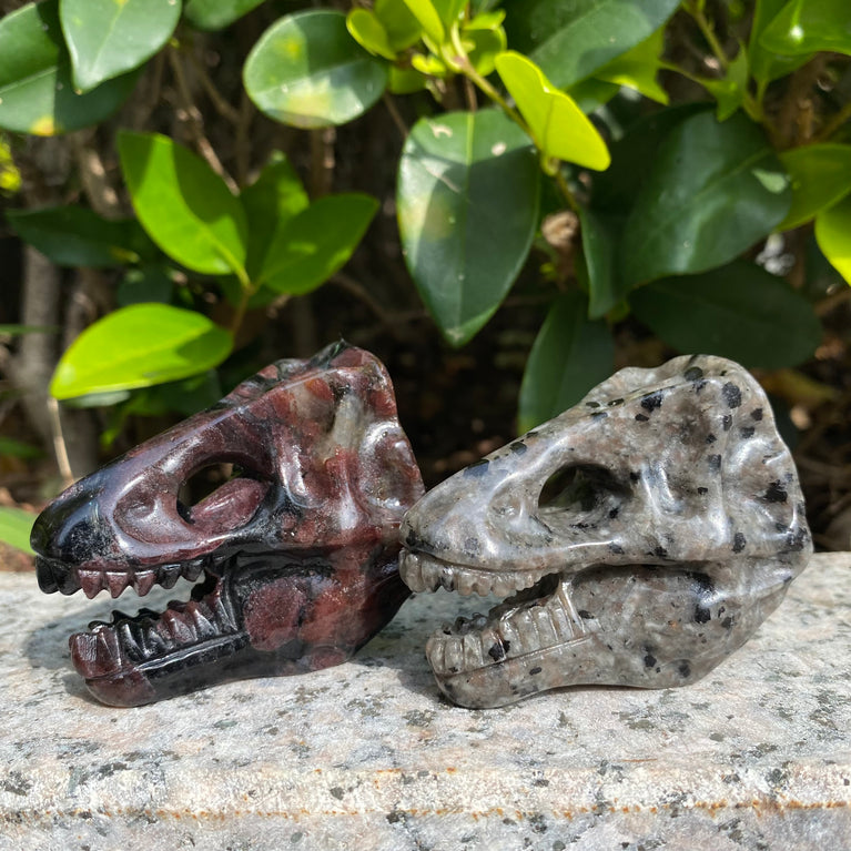 6CM Dinosaur Trex Skull Natural Crystal Carving