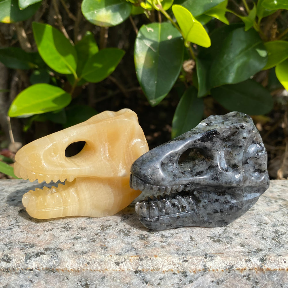 6CM Dinosaur Trex Skull Natural Crystal Carving