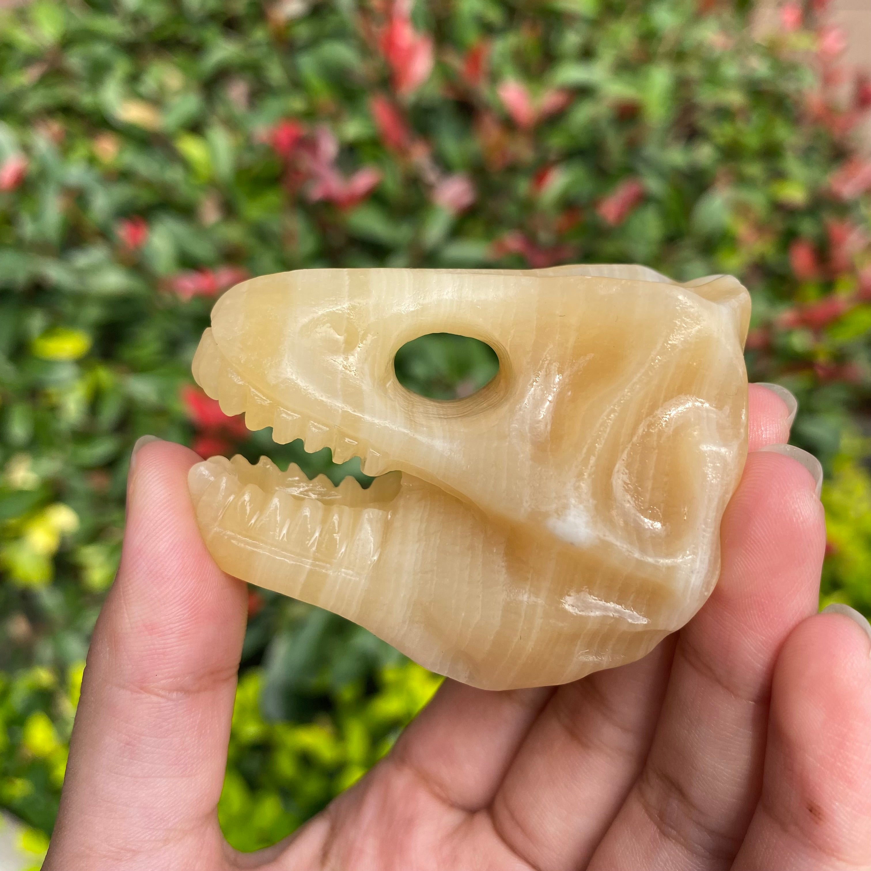 6CM Dinosaur T-rex Skull Natural Crystal Carving