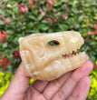 6CM Dinosaur Trex Skull Natural Crystal Carving