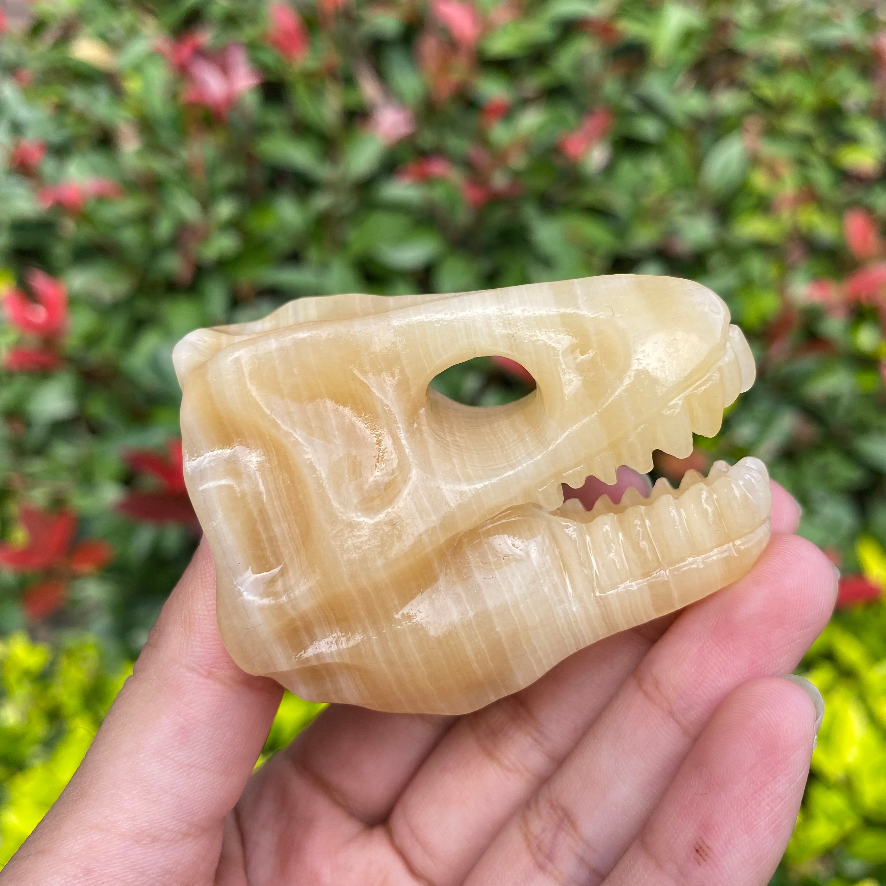 6CM Dinosaur T-rex Skull Natural Crystal Carving