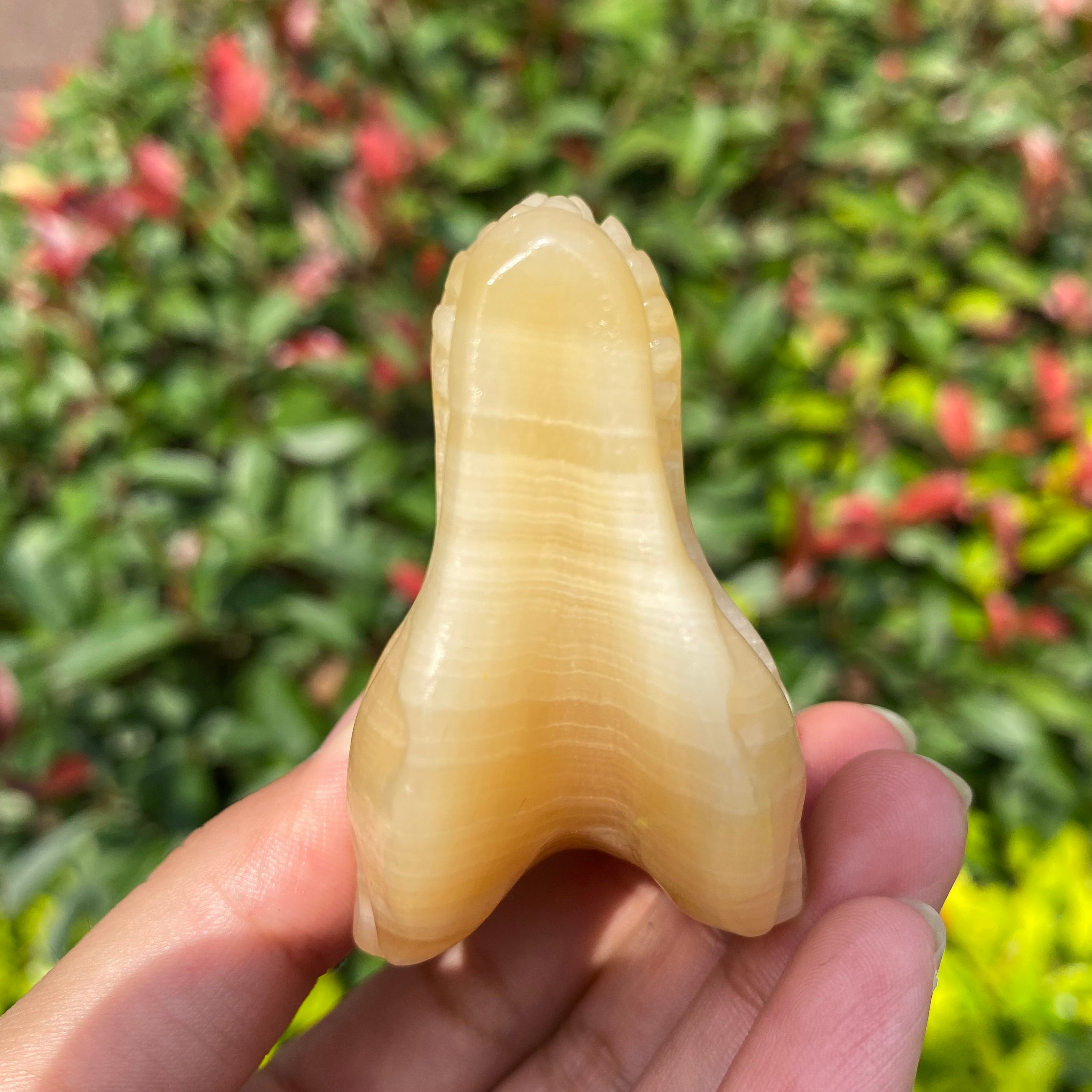 6CM Dinosaur T-rex Skull Natural Crystal Carving