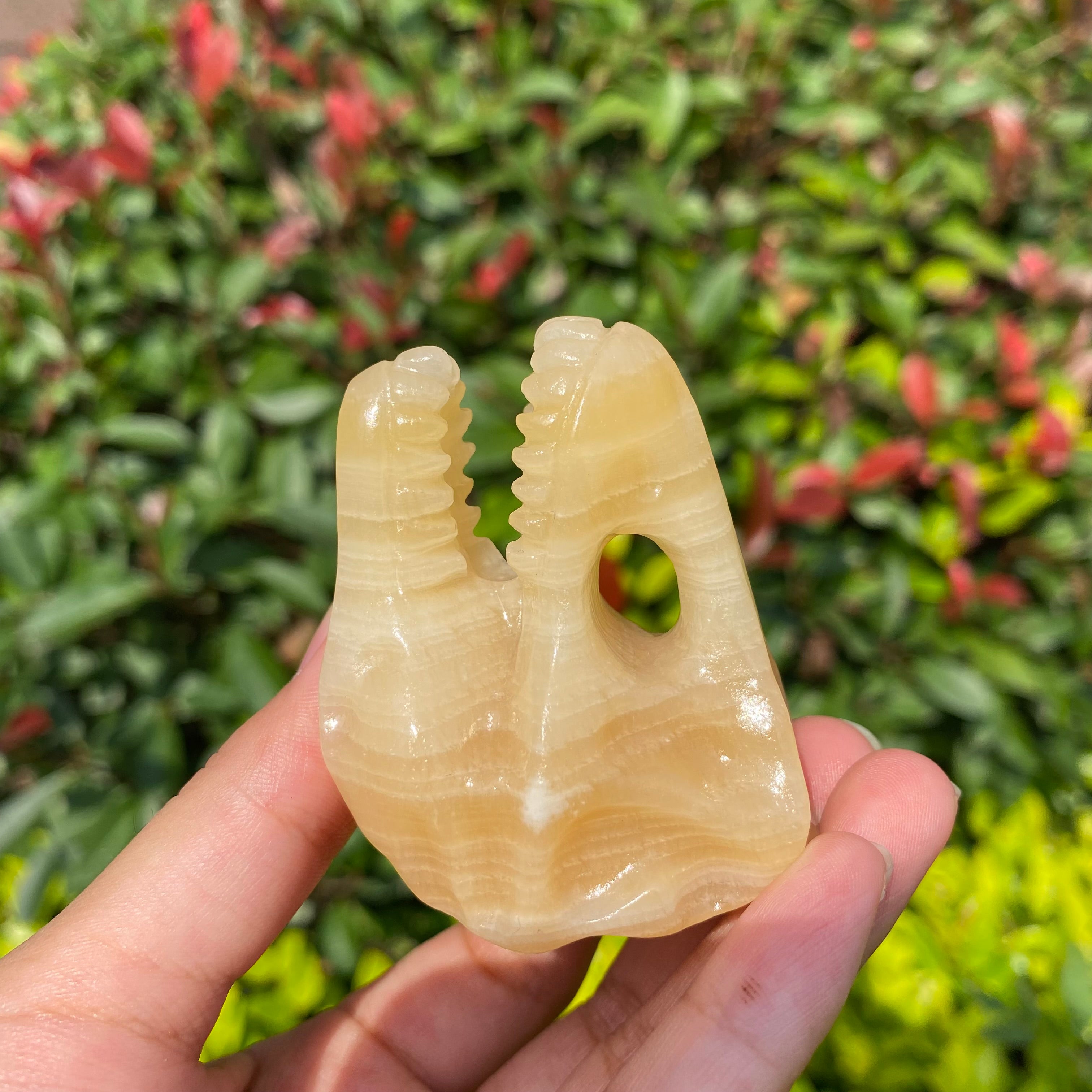 6CM Dinosaur T-rex Skull Natural Crystal Carving