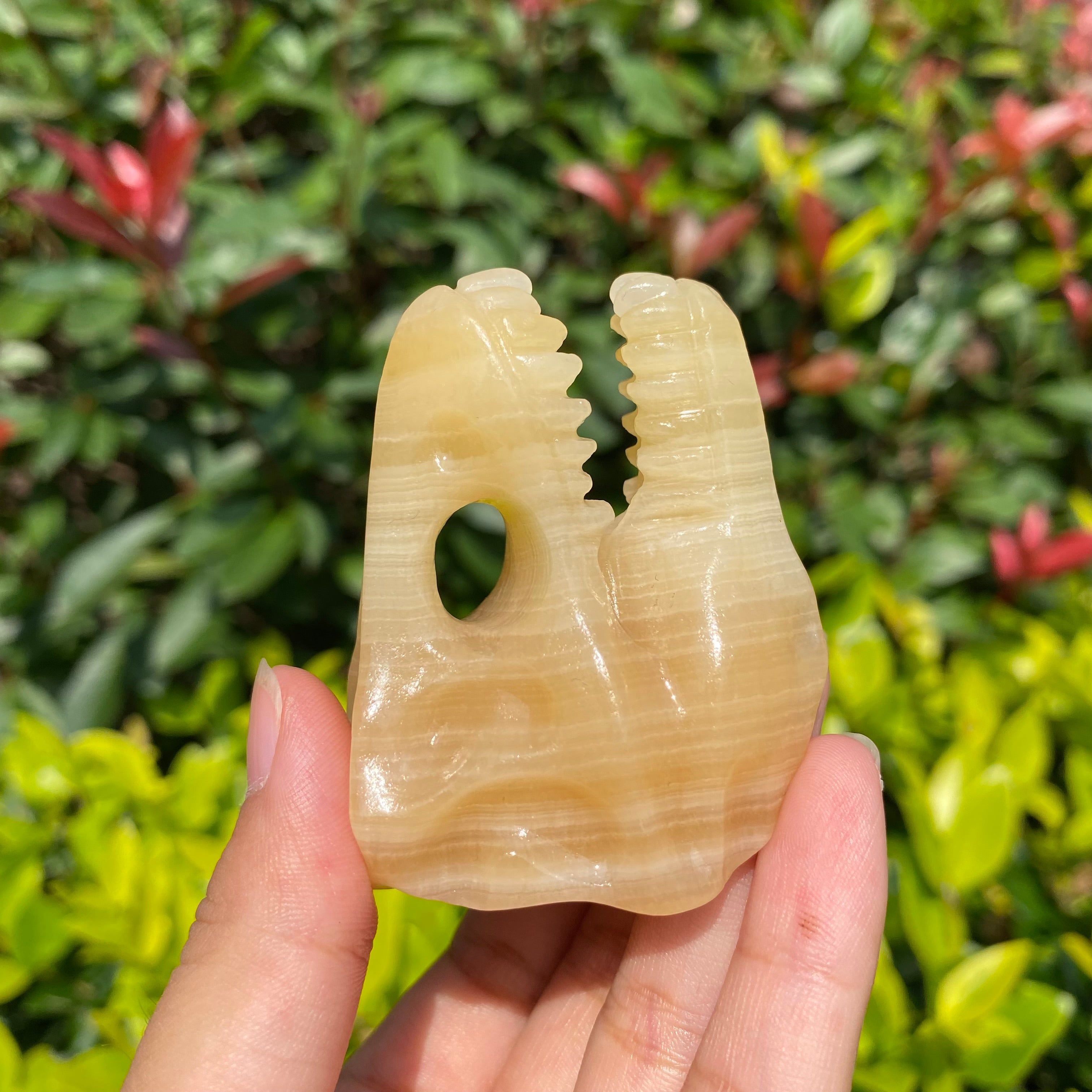 6CM Dinosaur T-rex Skull Natural Crystal Carving