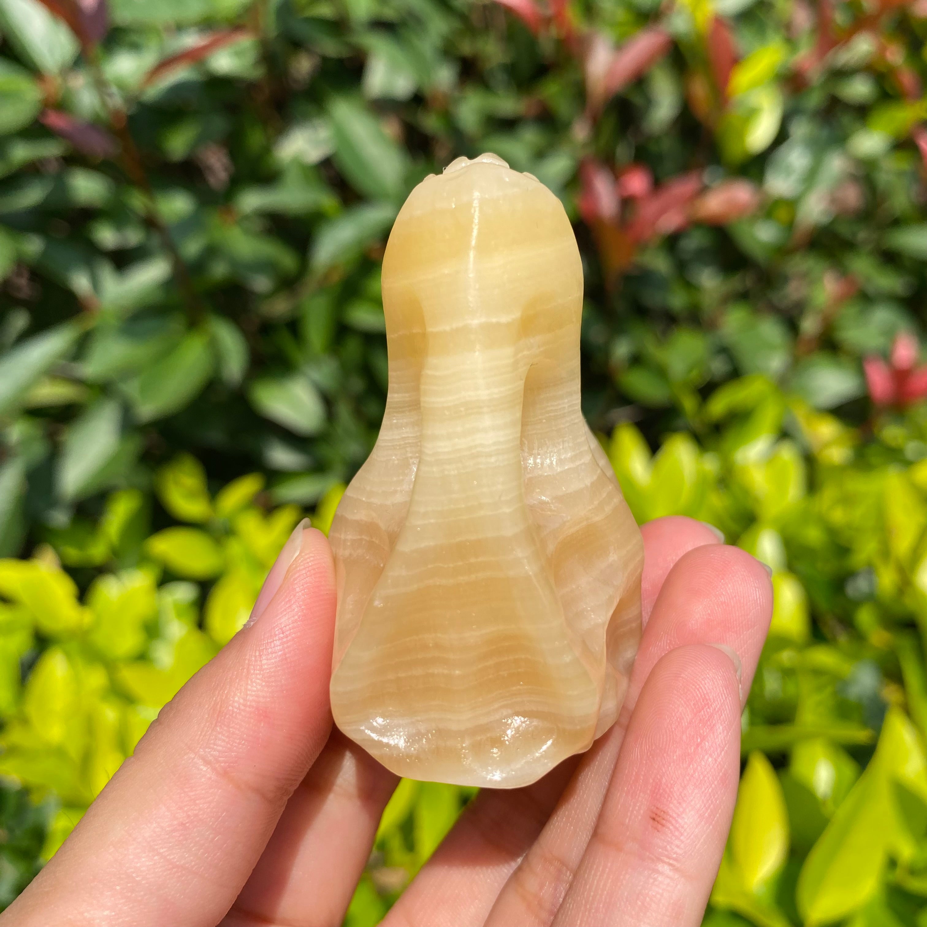 6CM Dinosaur T-rex Skull Natural Crystal Carving