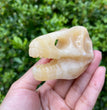 6CM Dinosaur Trex Skull Natural Crystal Carving