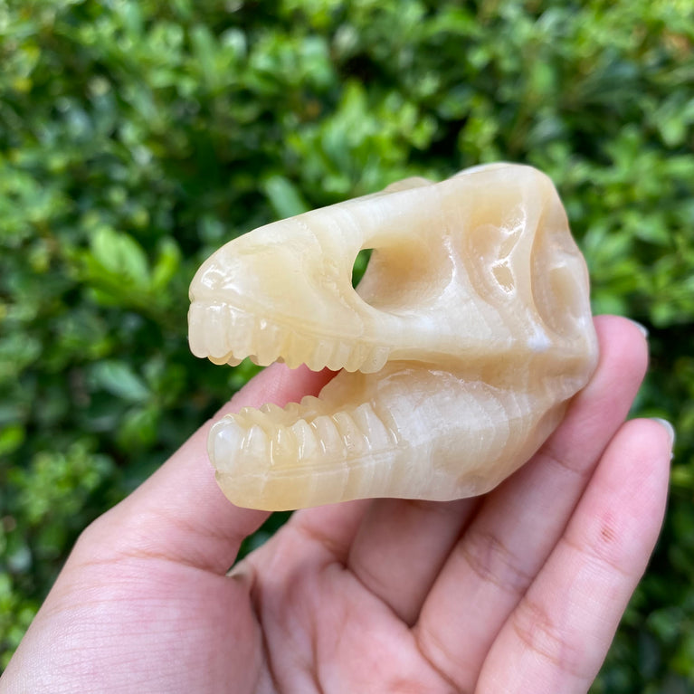 6CM Dinosaur Trex Skull Natural Crystal Carving