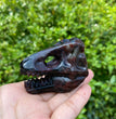 6CM Dinosaur Trex Skull Natural Crystal Carving