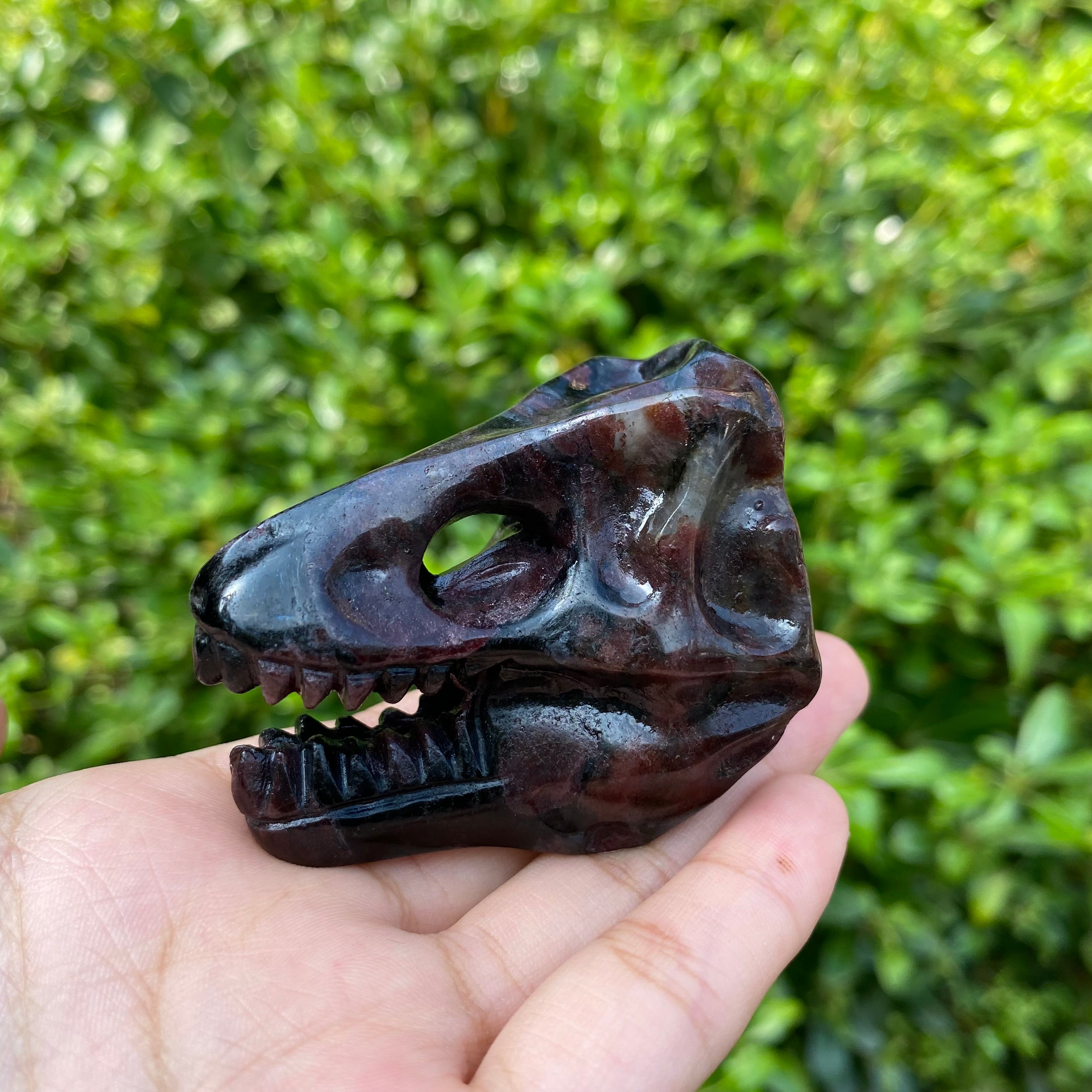 6CM Dinosaur T-rex Skull Natural Crystal Carving
