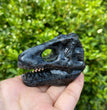 6CM Dinosaur Trex Skull Natural Crystal Carving