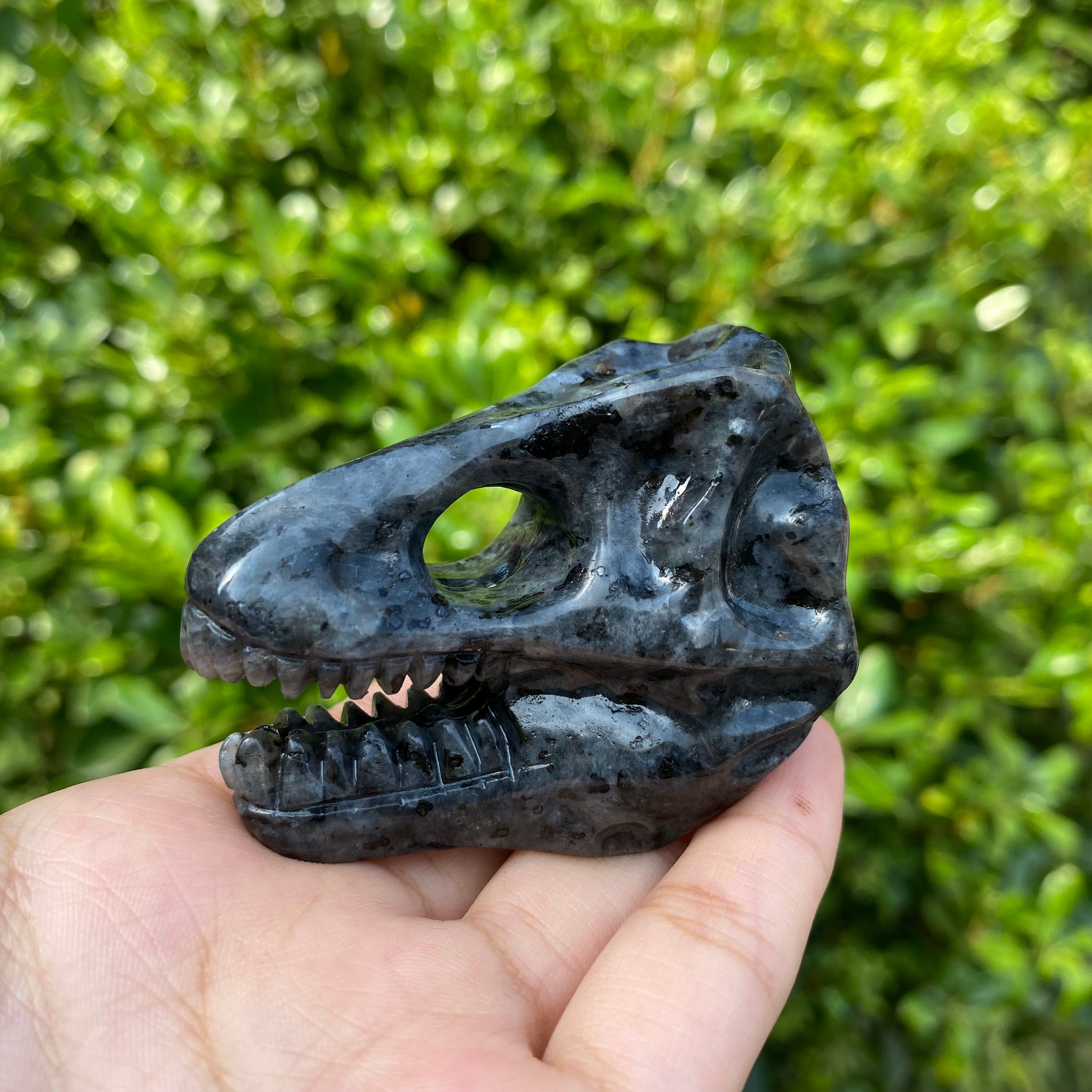 6CM Dinosaur T-rex Skull Natural Crystal Carving