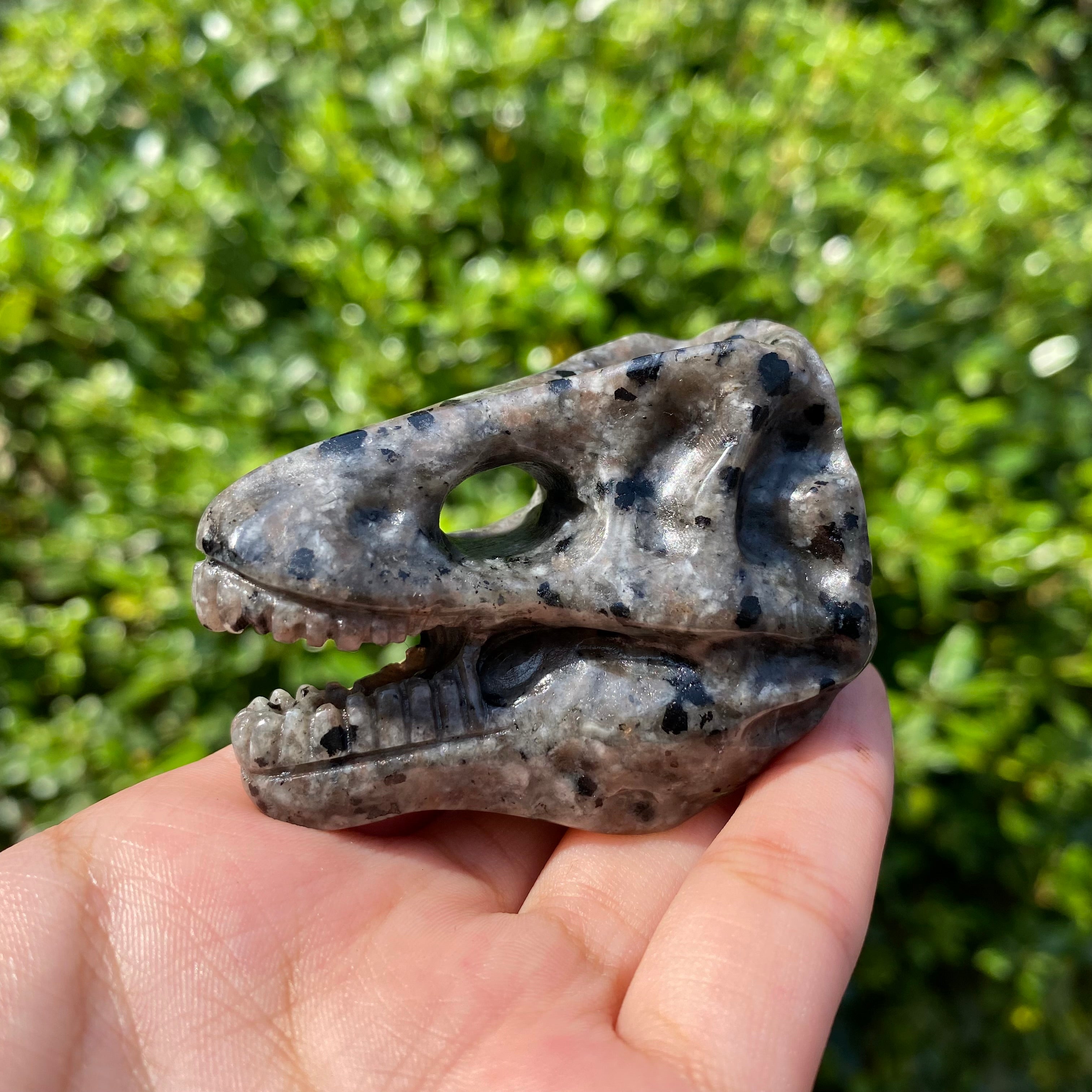 6CM Dinosaur T-rex Skull Natural Crystal Carving