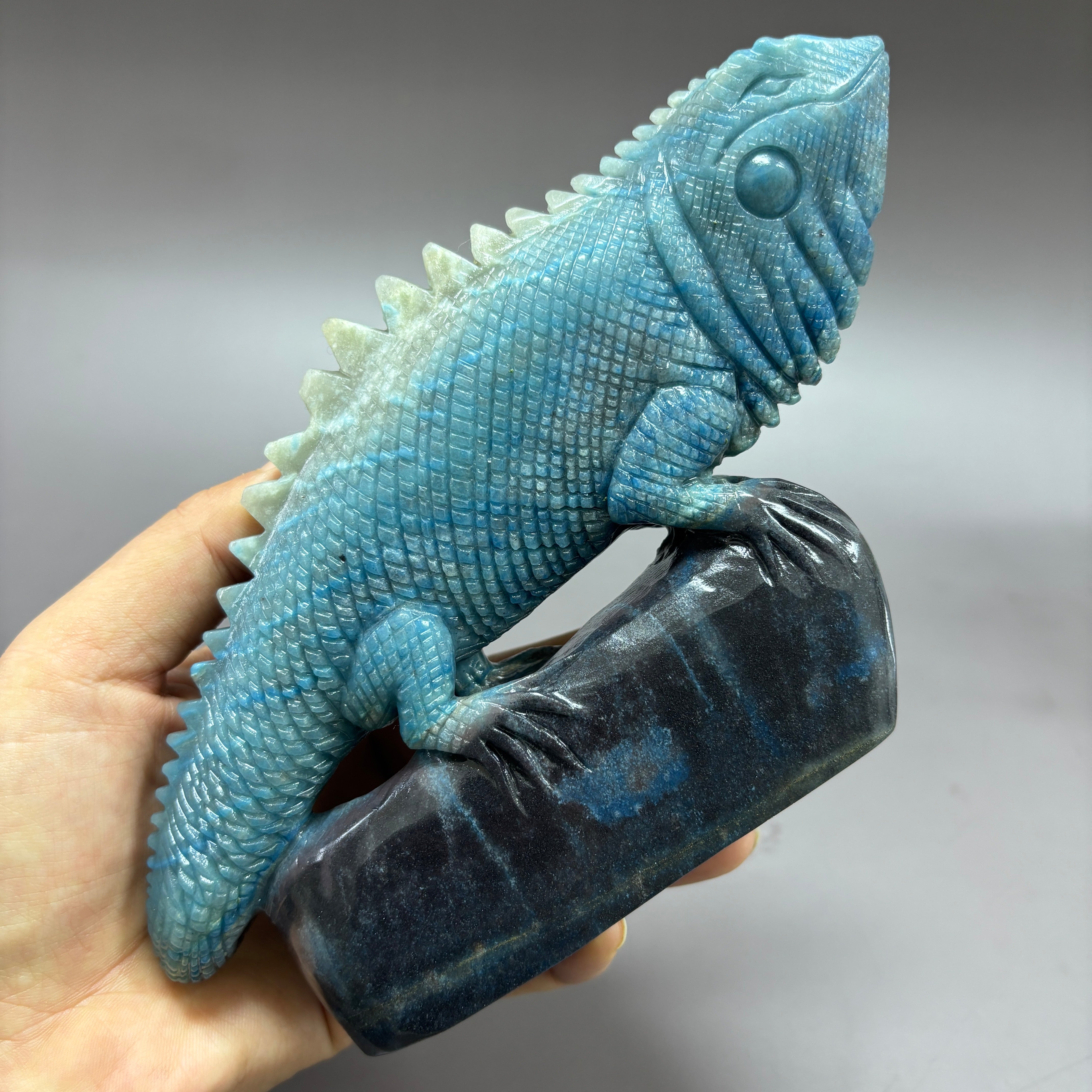 Lizard Chameleon Natural Trollite Crystal Carving Table Decor Gift Home Decor