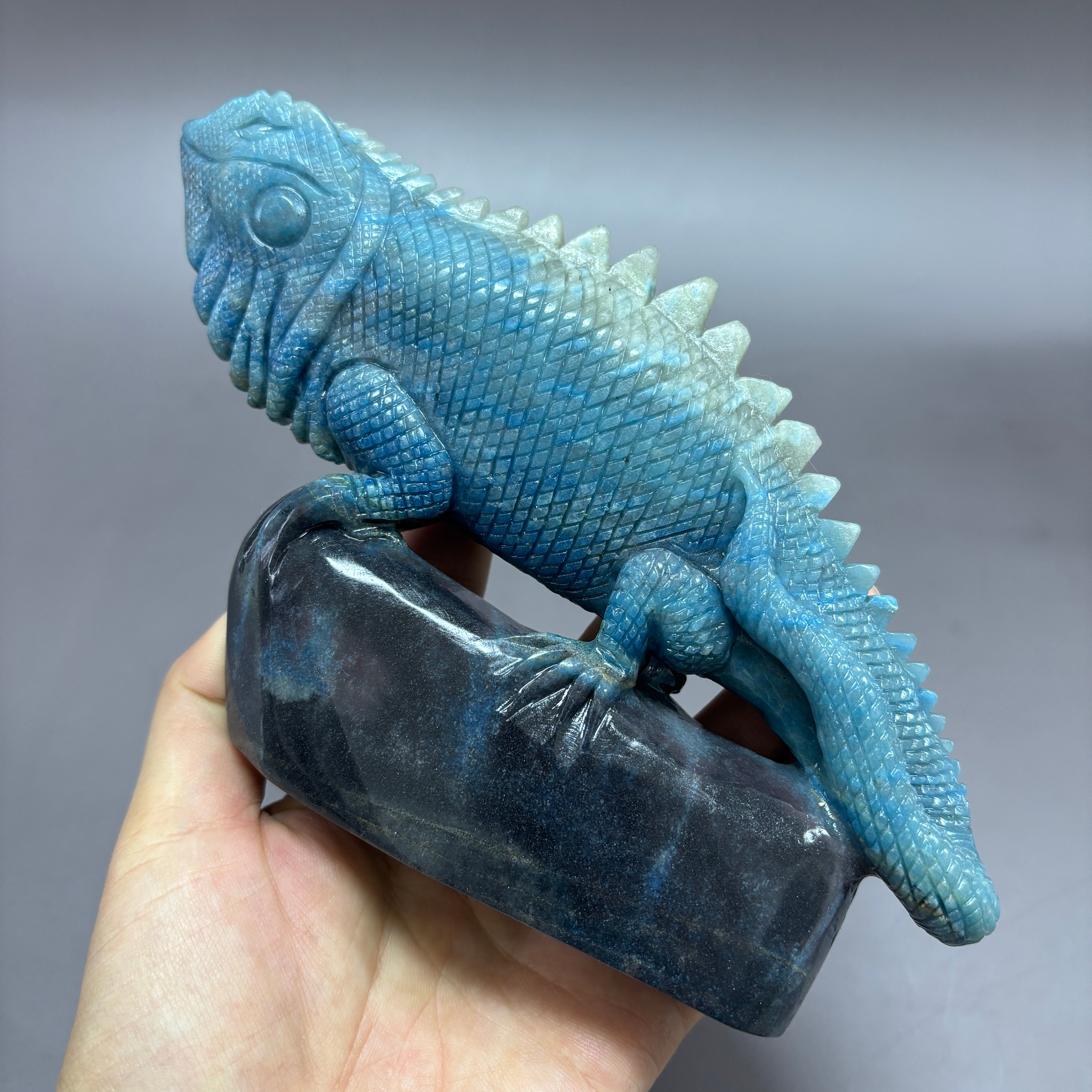 Lizard Chameleon Natural Trollite Crystal Carving Table Decor Gift Home Decor