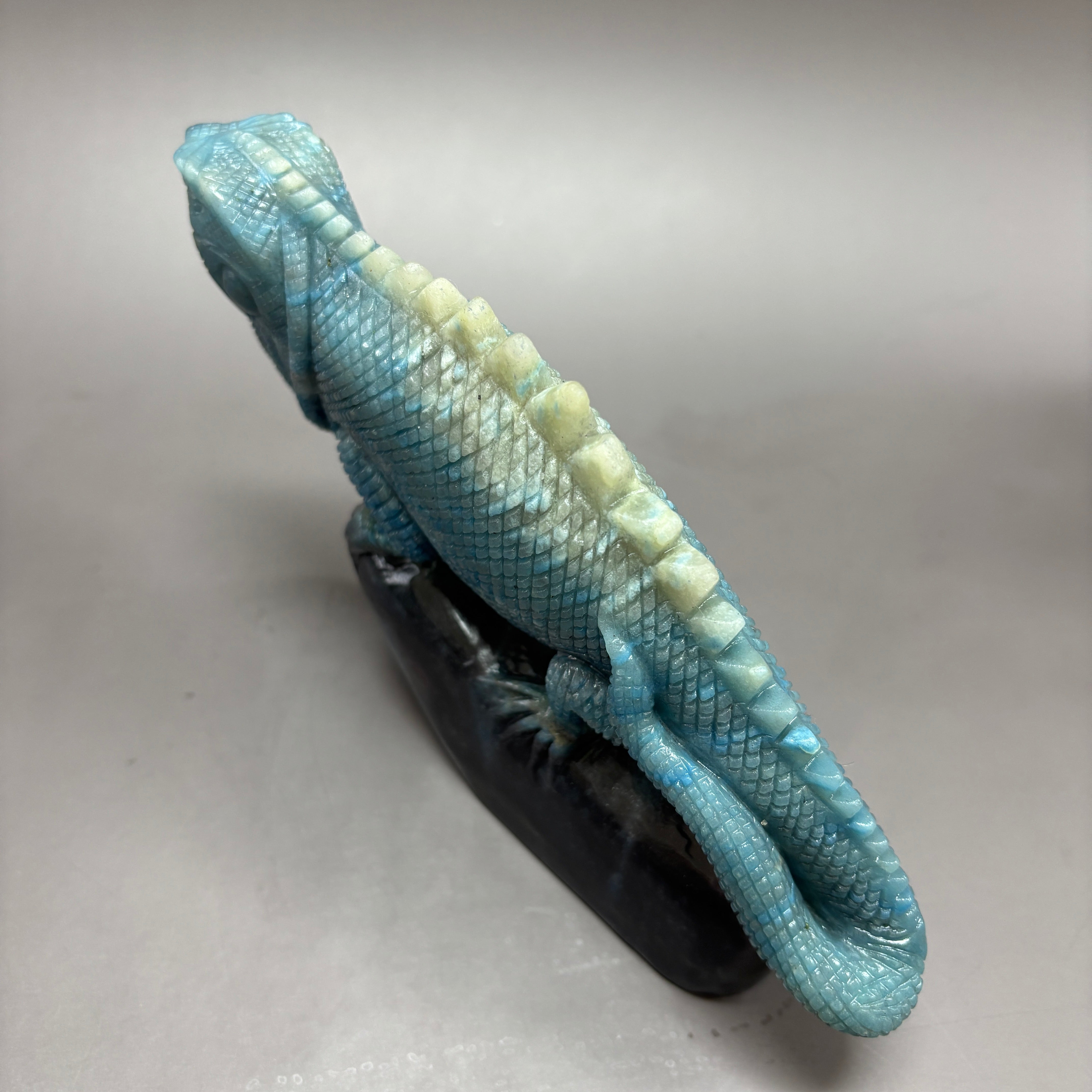 Lizard Chameleon Natural Trollite Crystal Carving Table Decor Gift Home Decor