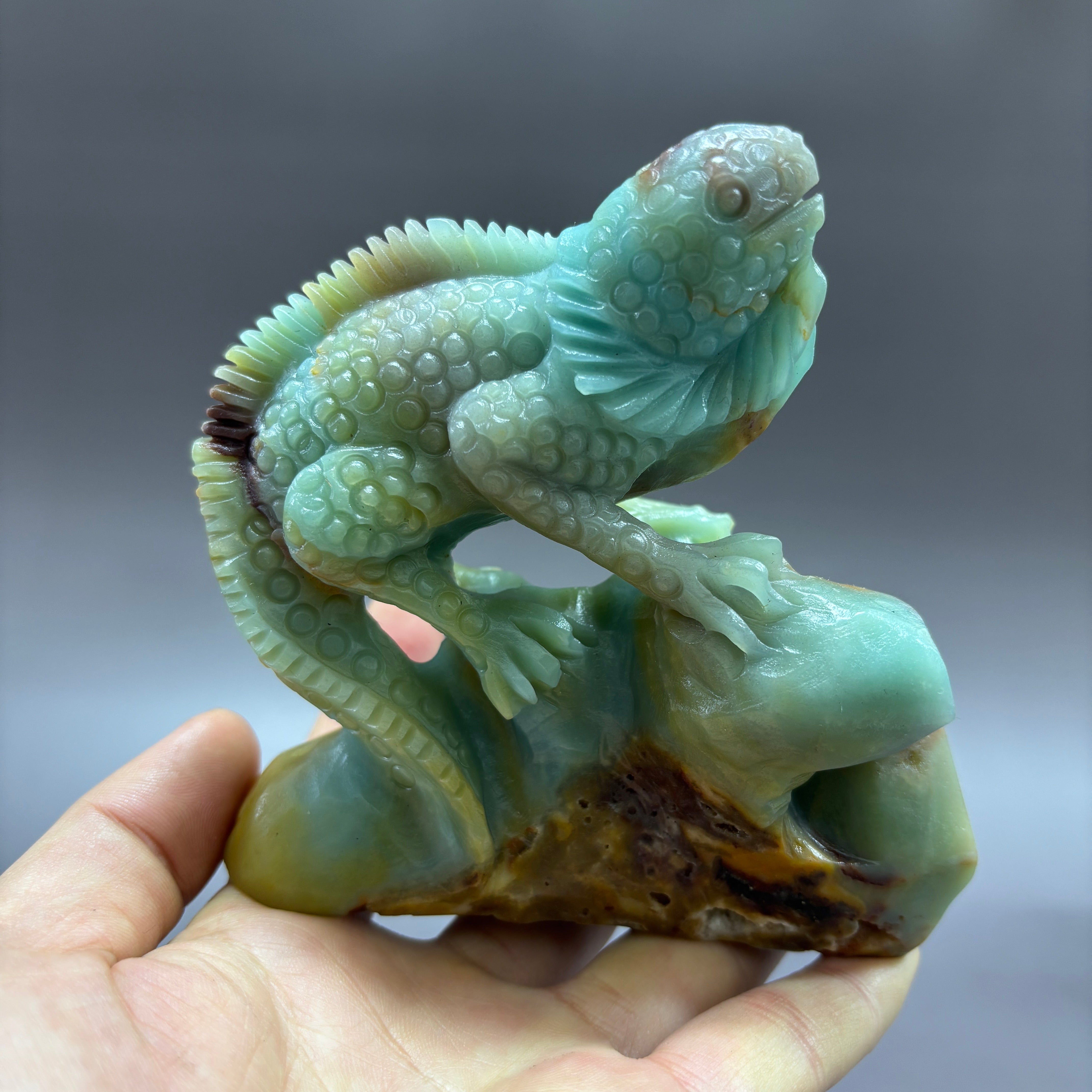 Lizard Chameleon Natural Caribbean Calcite Crystal Carving Table Decor Gift Home Decor