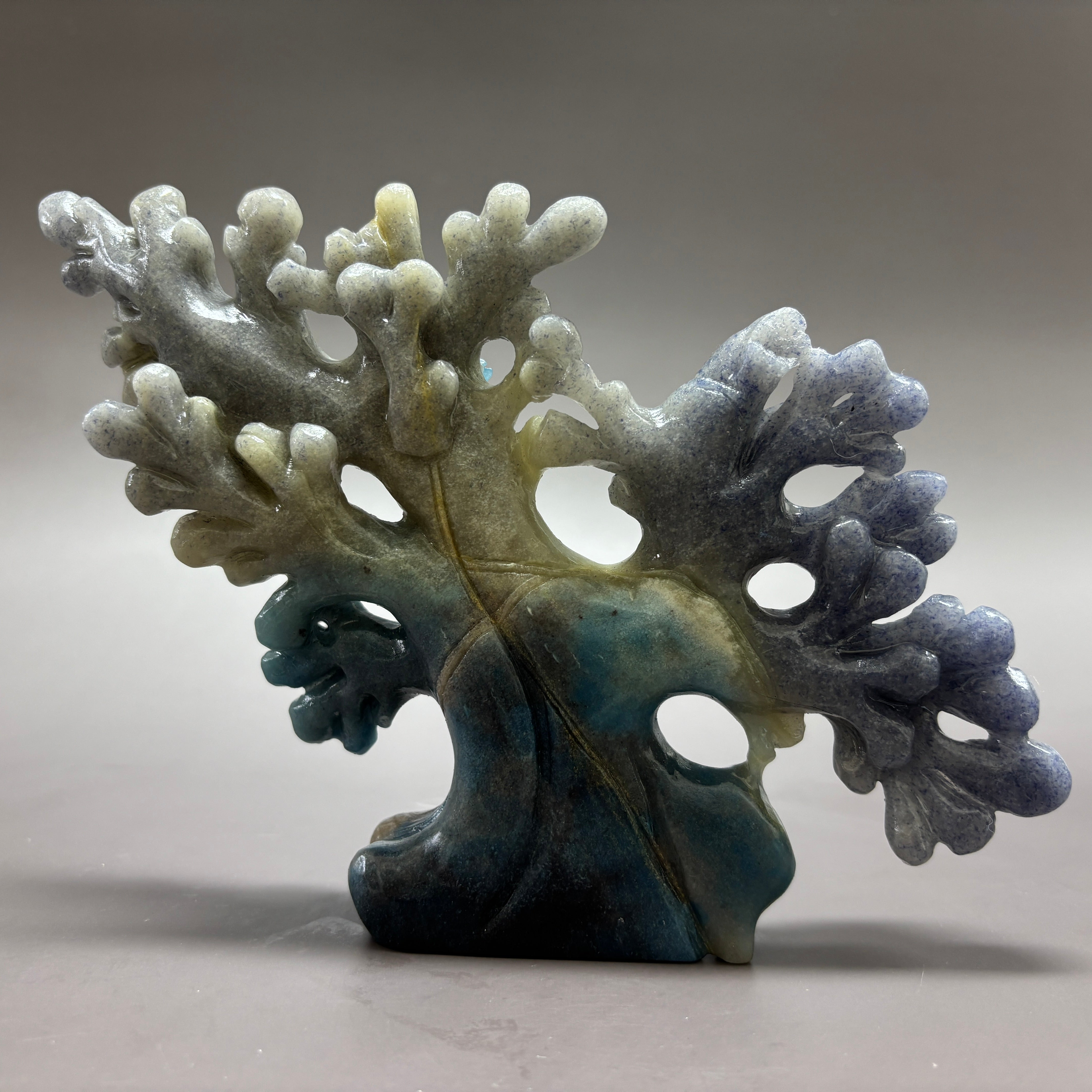 Coral Fish Ocean Scene Natural Trollite Crystal Carving Table Decor Gift Home Decor