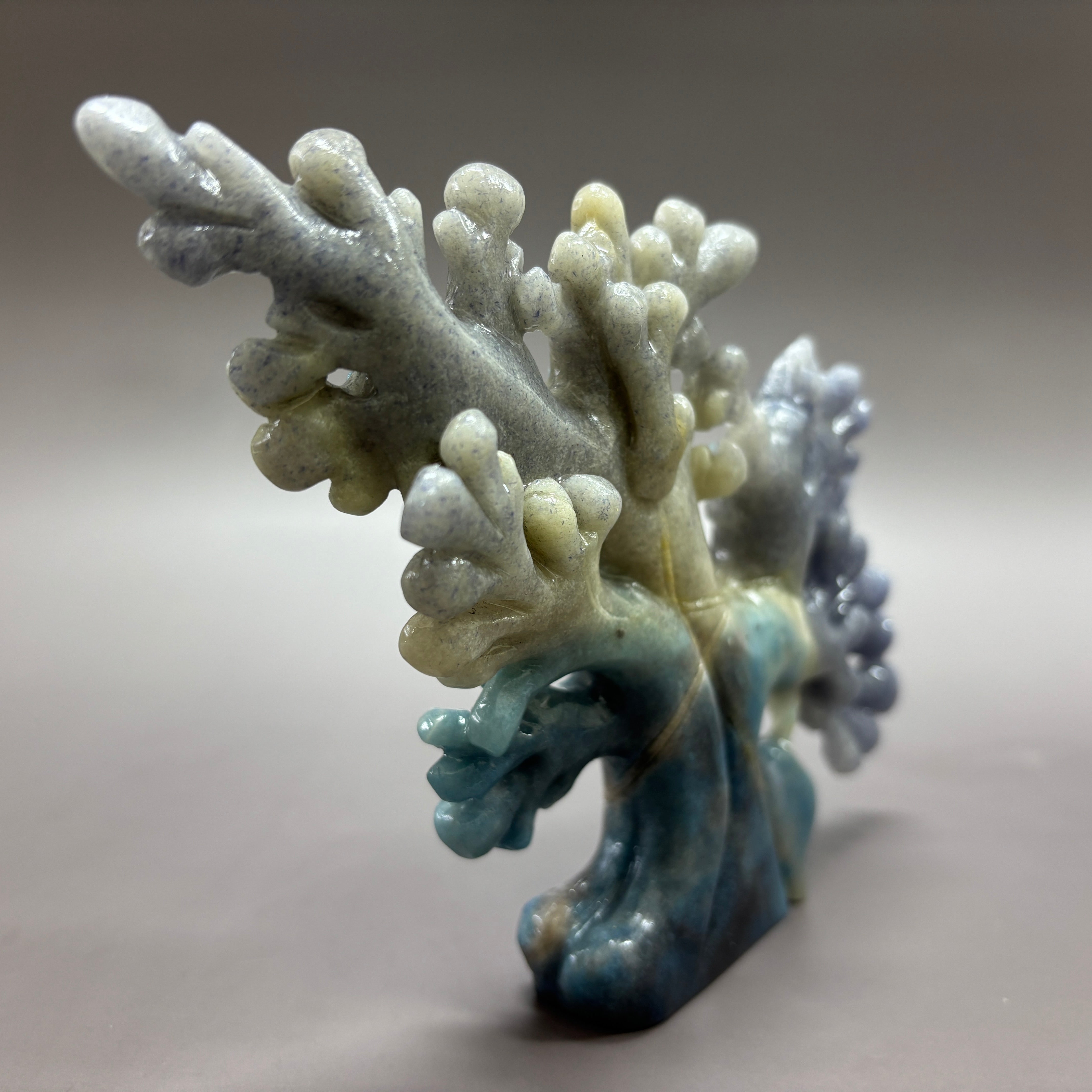 Coral Fish Ocean Scene Natural Trollite Crystal Carving Table Decor Gift Home Decor