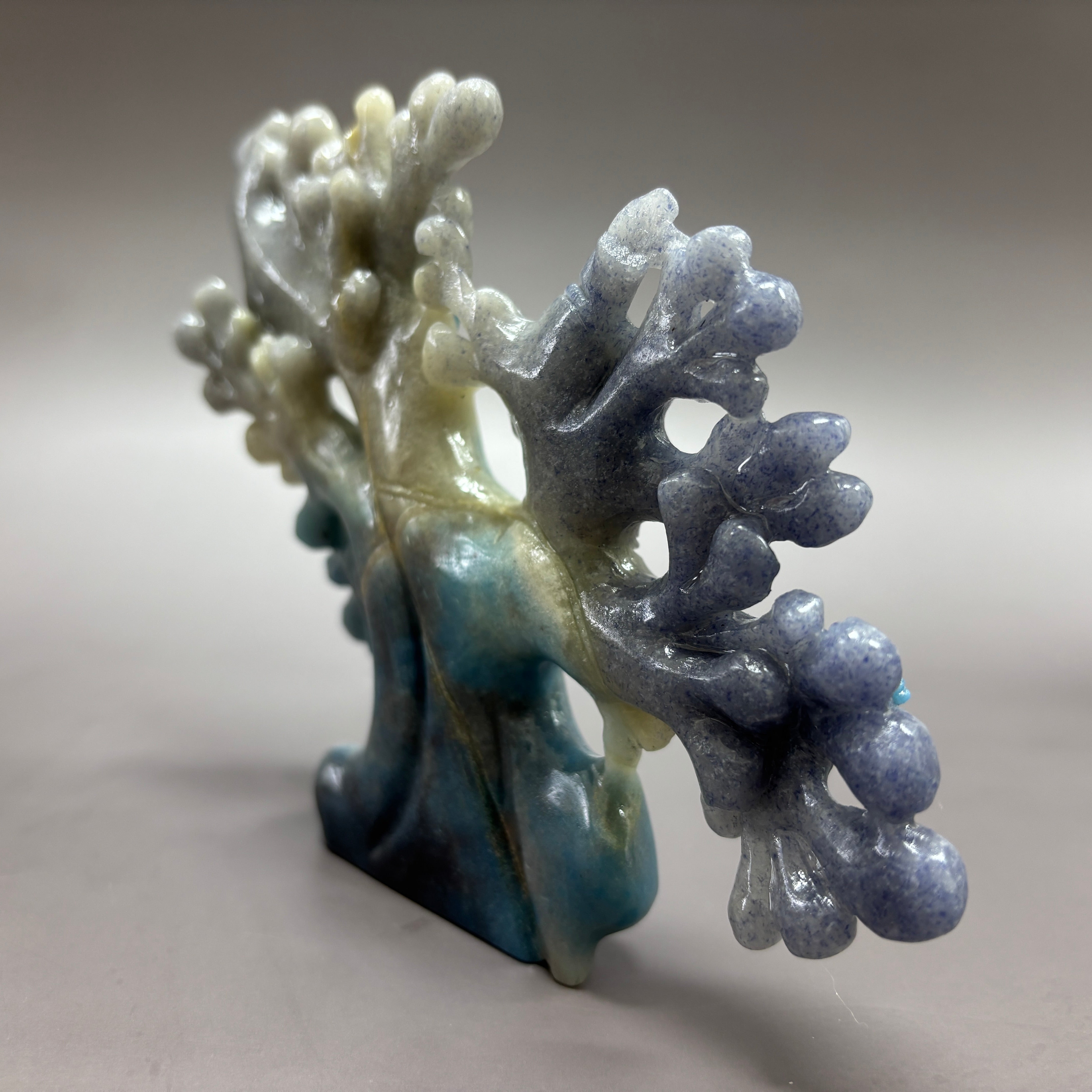 Coral Fish Ocean Scene Natural Trollite Crystal Carving Table Decor Gift Home Decor