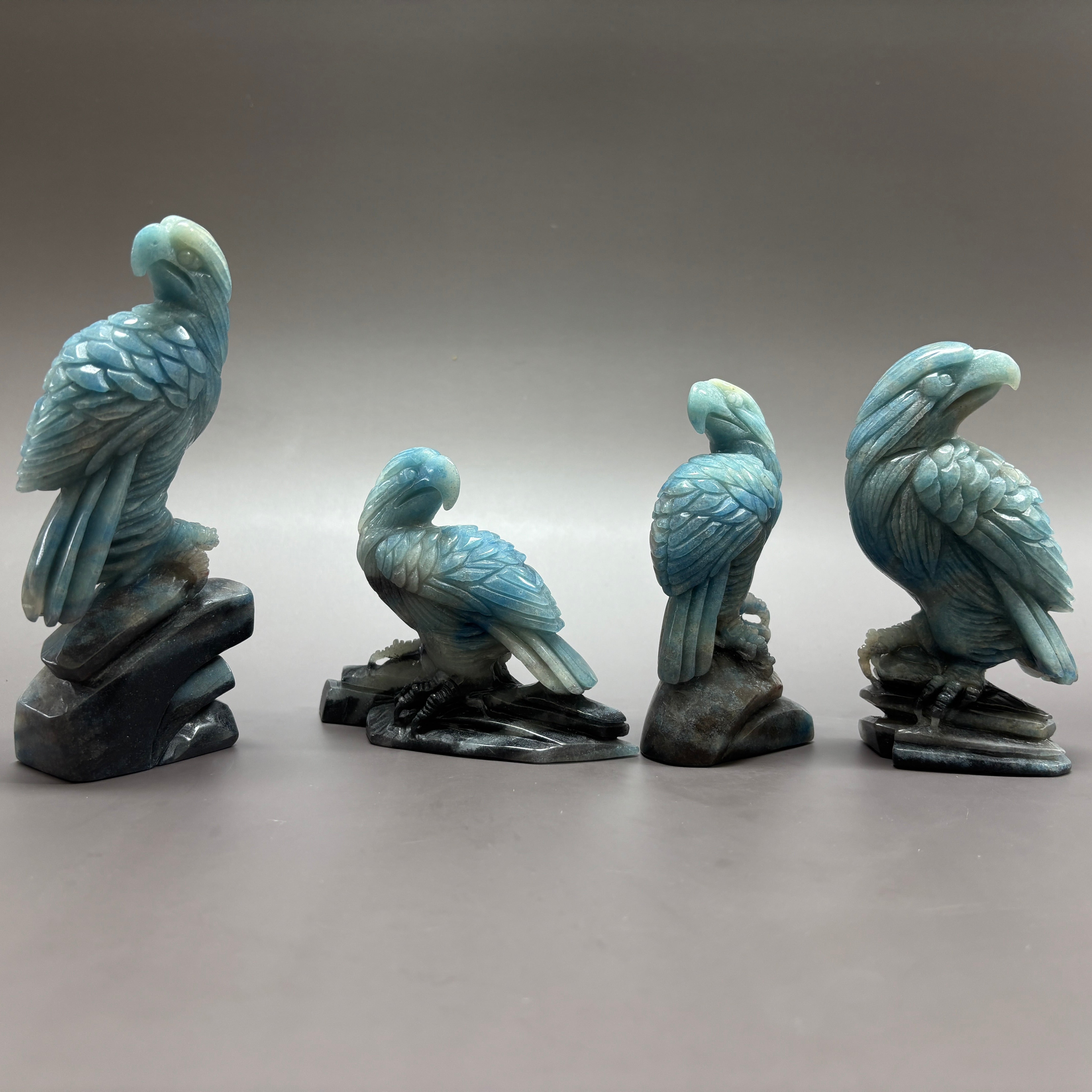 Eagle Hawk Vulture Natural Trollite Crystal Carving Table Decor Gift