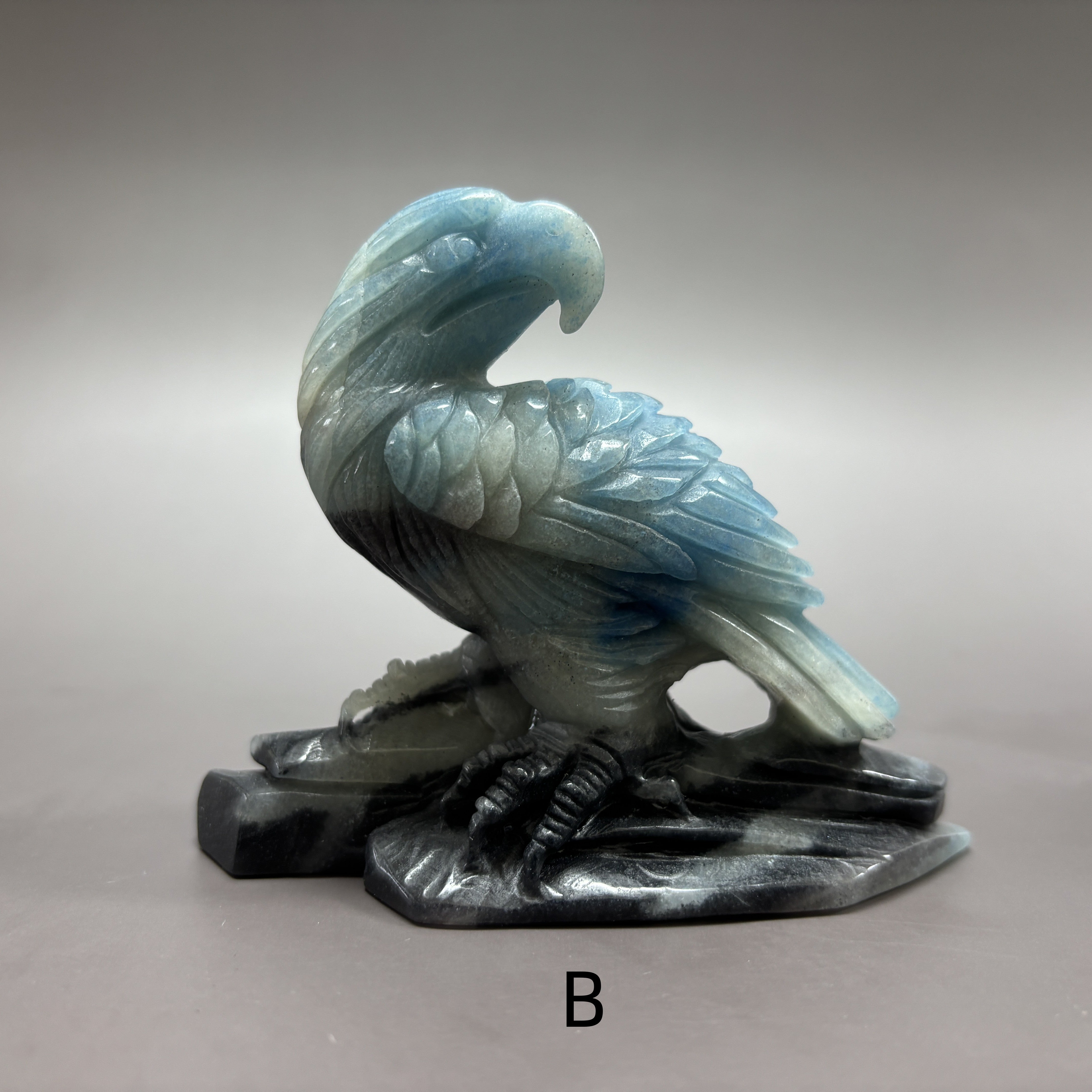 Eagle Hawk Vulture Natural Trollite Crystal Carving Table Decor Gift