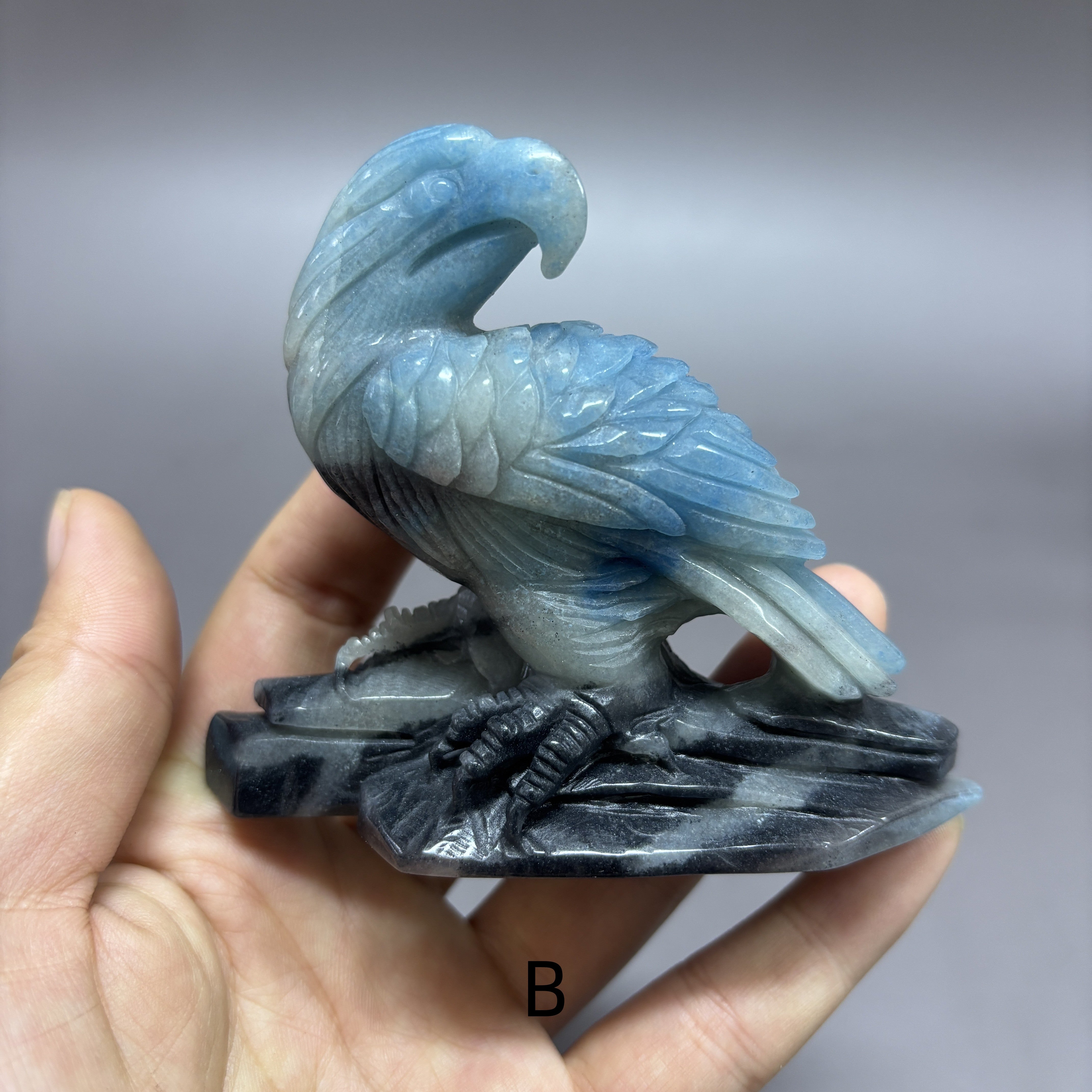 Eagle Hawk Vulture Natural Trollite Crystal Carving Table Decor Gift