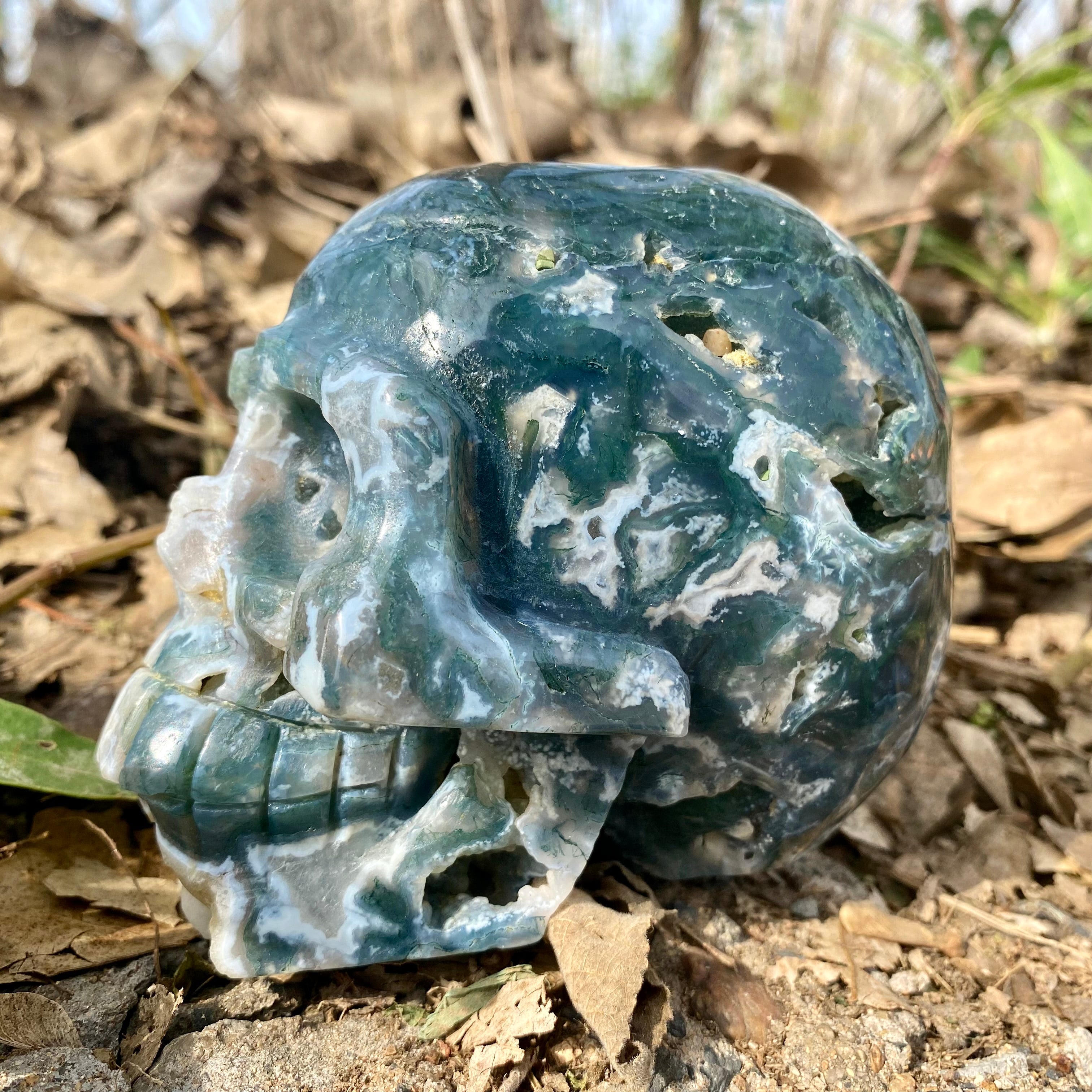Natural Moss Agate Skull Skeleton Carving