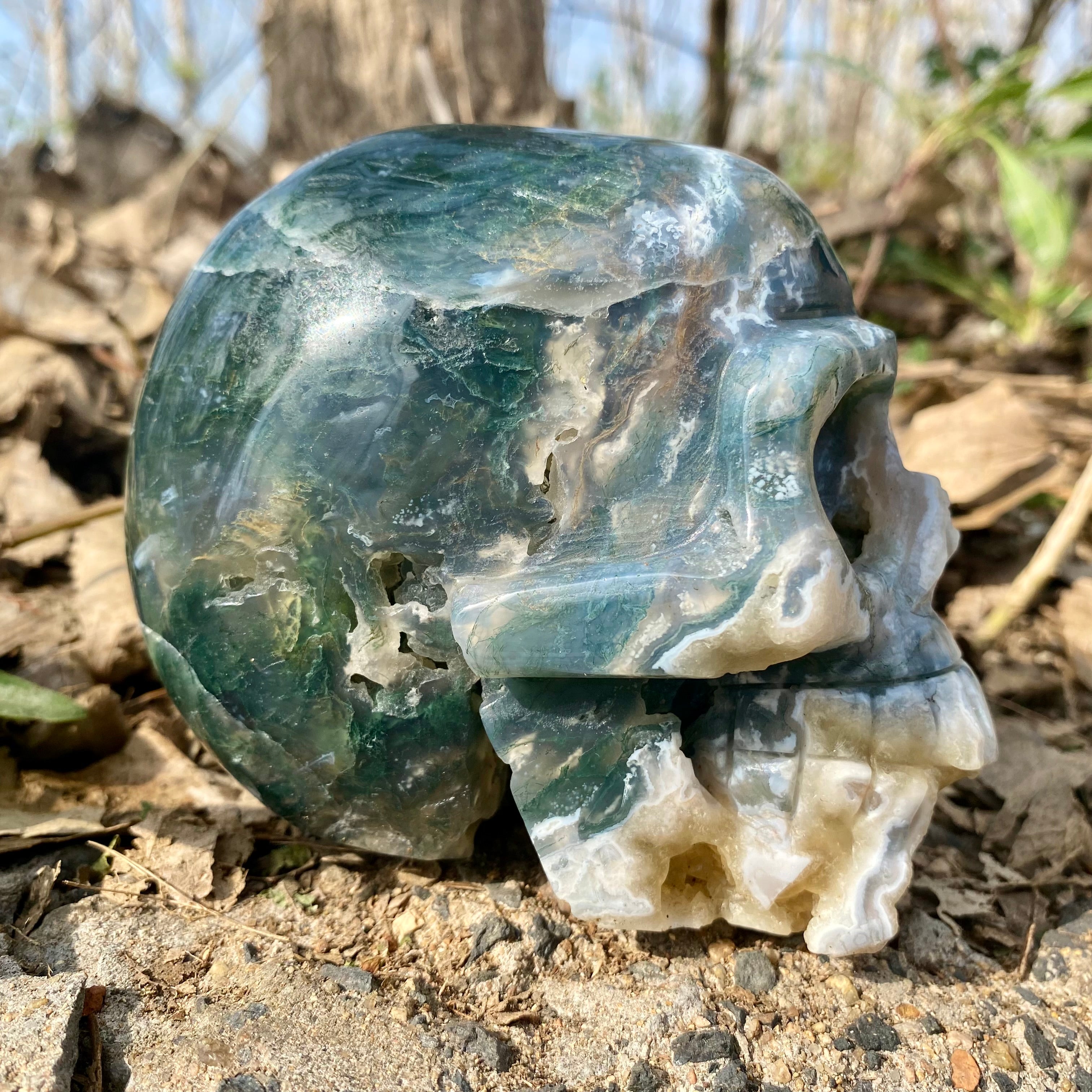 Natural Moss Agate Skull Skeleton Carving