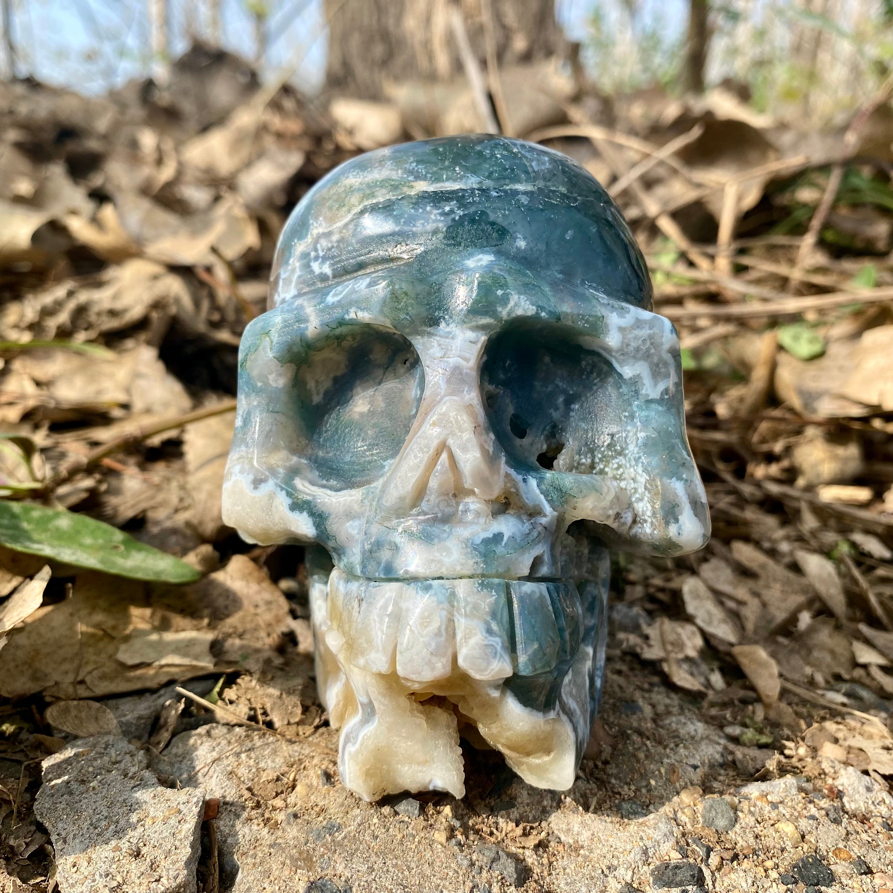 Natural Moss Agate Skull Skeleton Carving