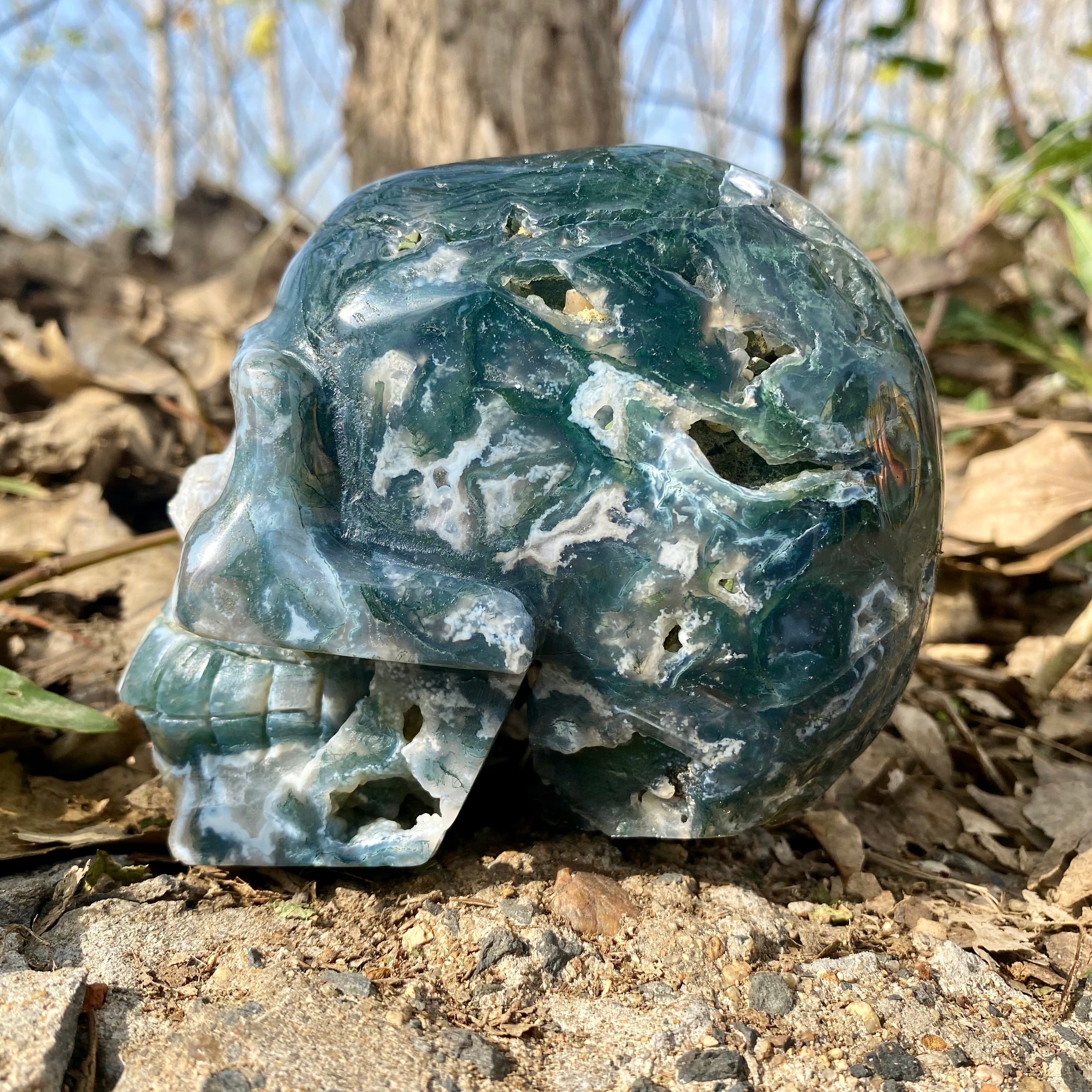 Natural Moss Agate Skull Skeleton Carving