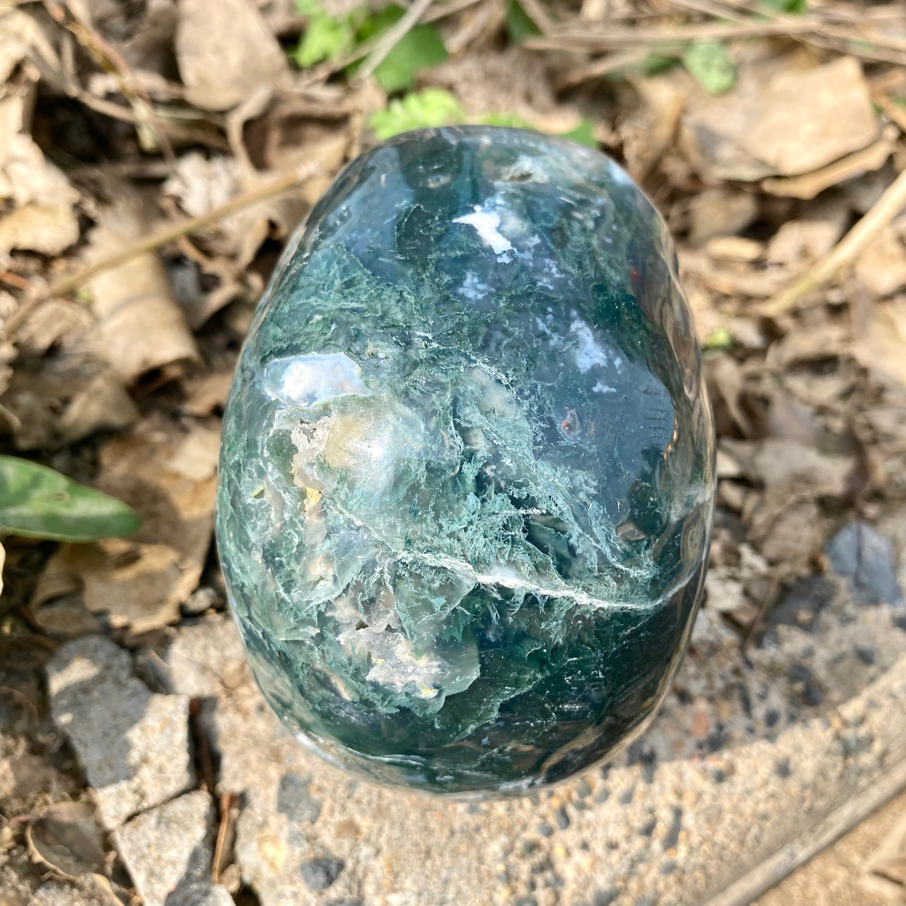 Natural Moss Agate Skull Skeleton Carving