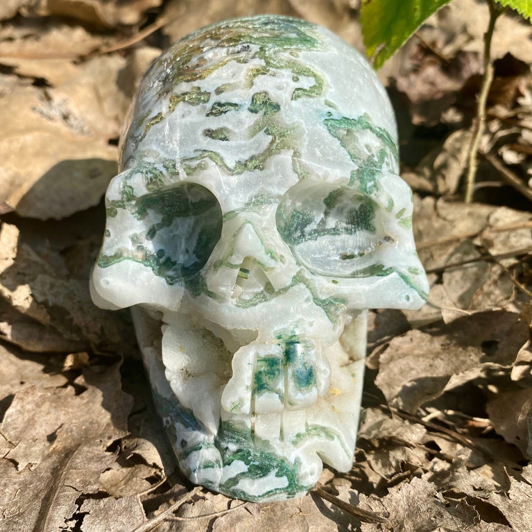 Natural Moss Agate Skull Skeleton Carving Wholesale Natural Crystal Healing Stone Decoration